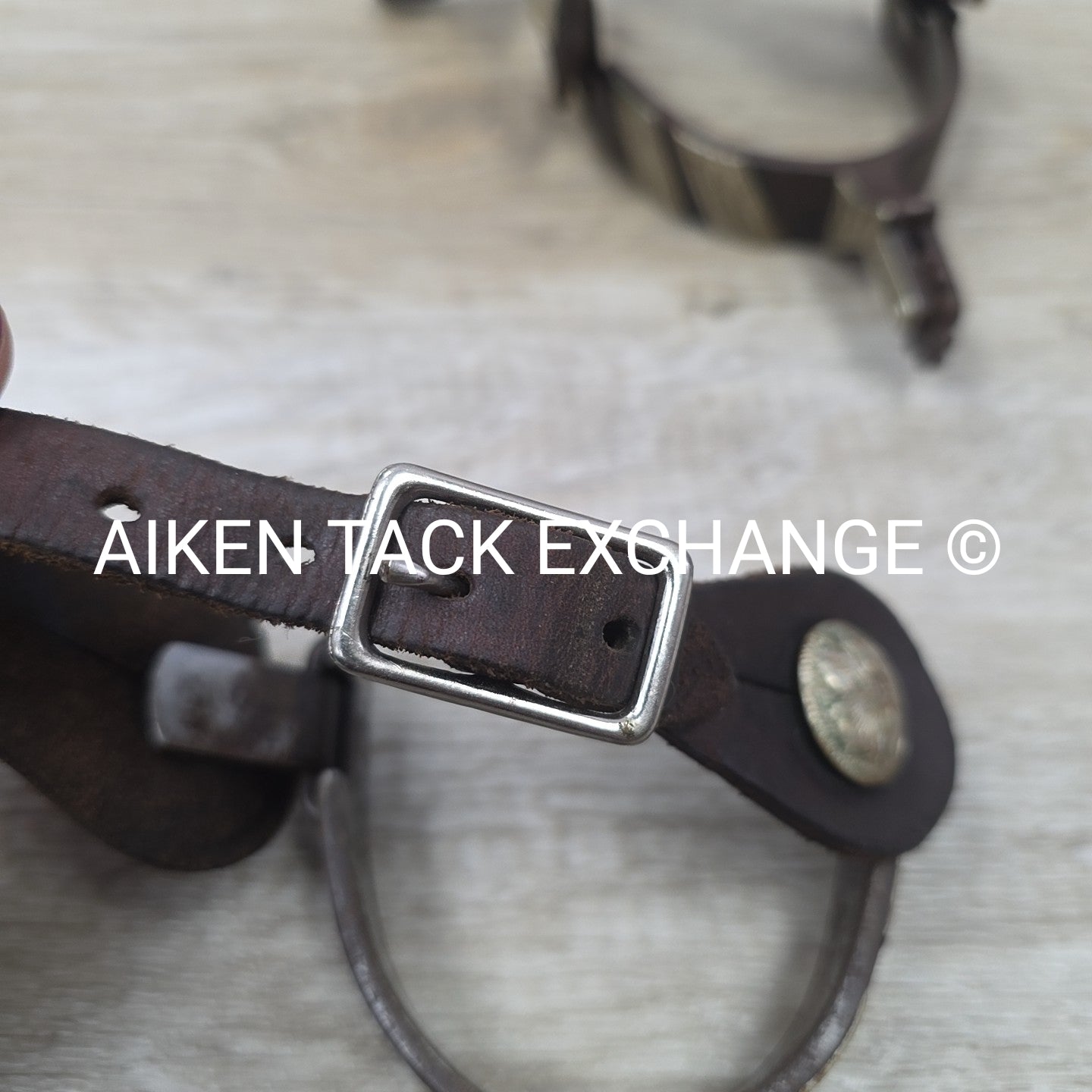 Classic Equine Cowboy Series Spurs with Chap Guard & Leather Spur Straps