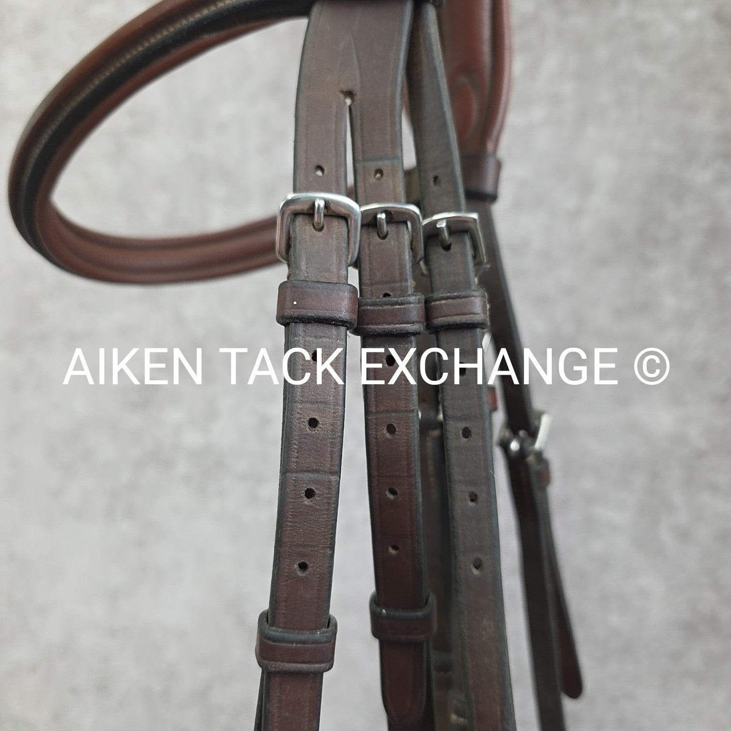 Arion Fancy Stitched Flash Noseband Monocrown Bridle, No Reins, Brown, Size Full