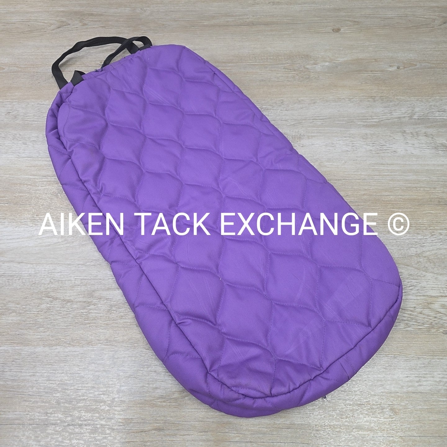 Padded Bridle Bag