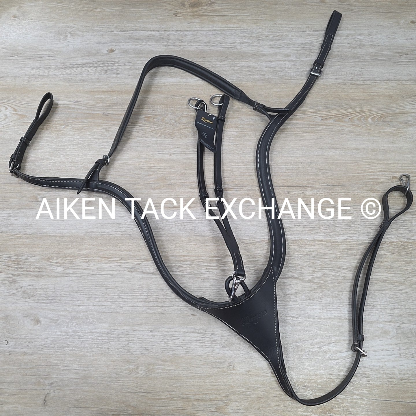 Lumiere "Anka" Breastplate with Running Martingale Attachment, Black, Size Full