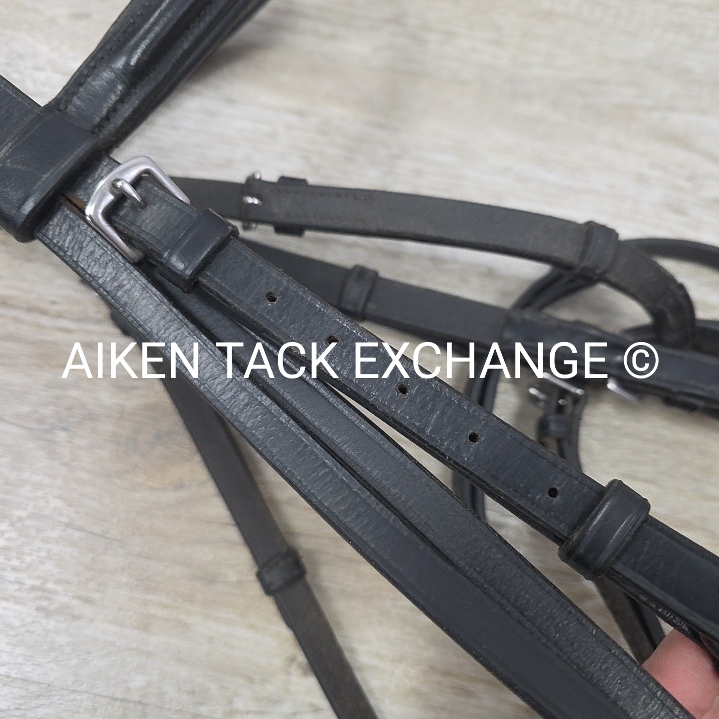 Bobby's English Tack Fairhaven Plain Raised Flash Bridle with Cotton Web Reins,