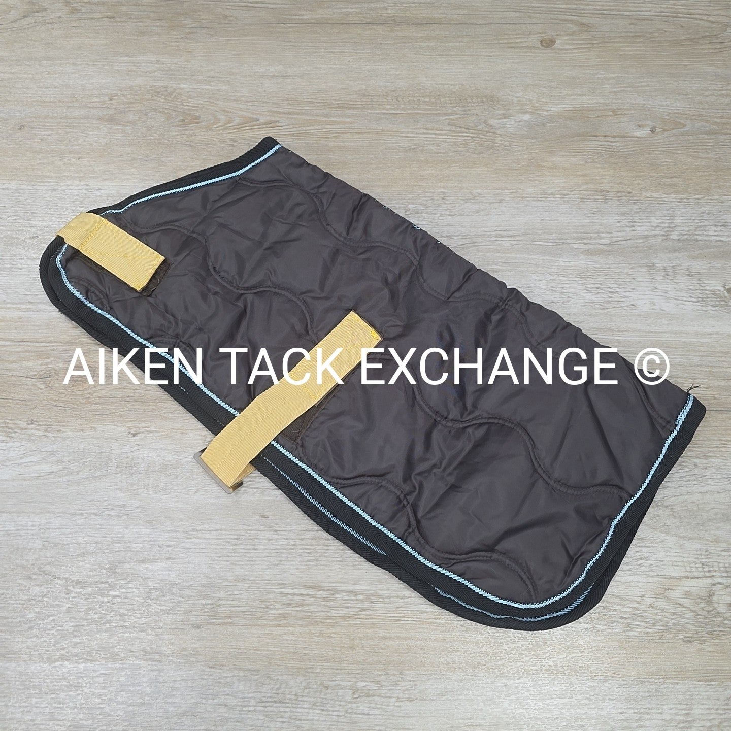 Harry Horse Dog Blanket, 24"