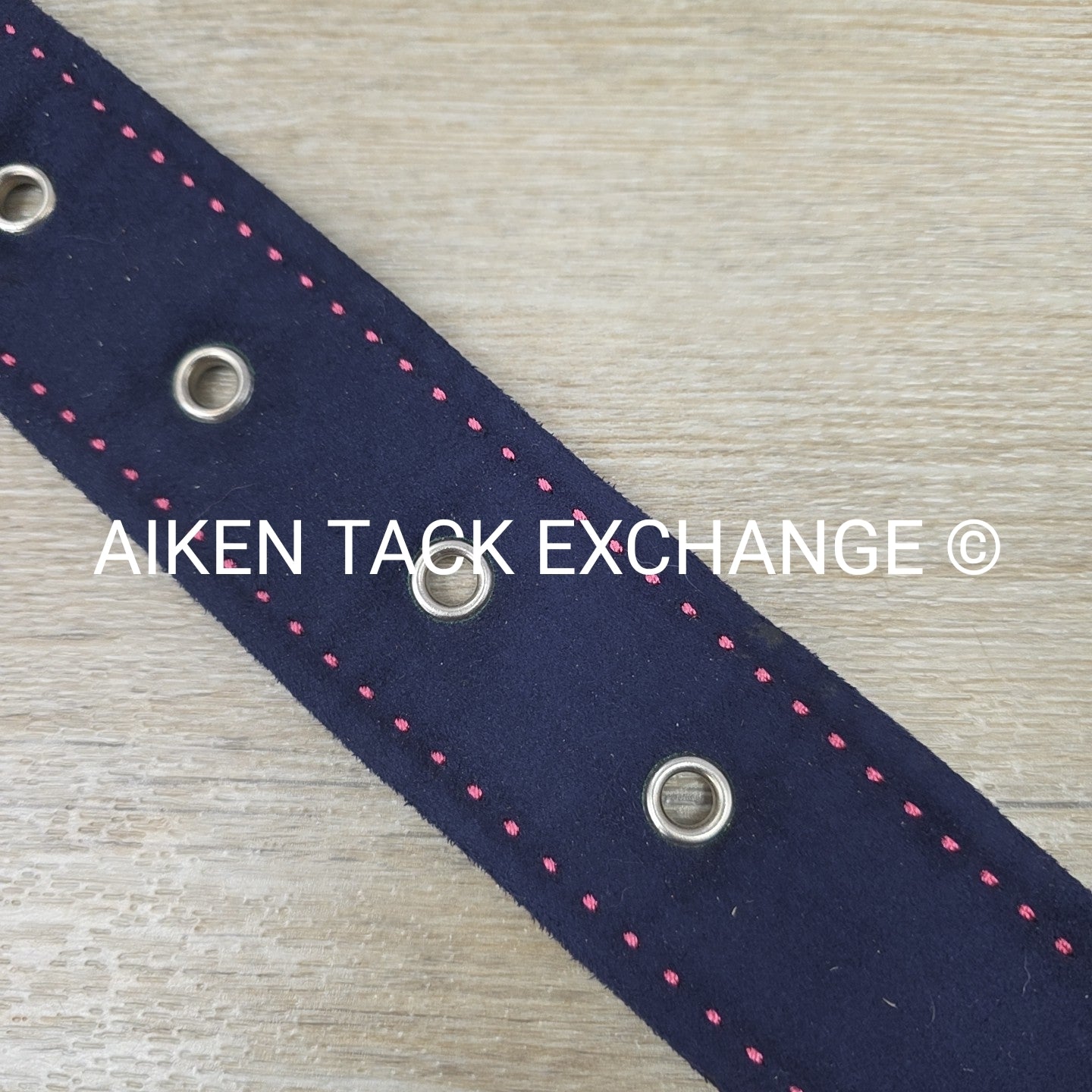 Women's Medium Equine Couture Suede Belt, Navy with Pink Stitching