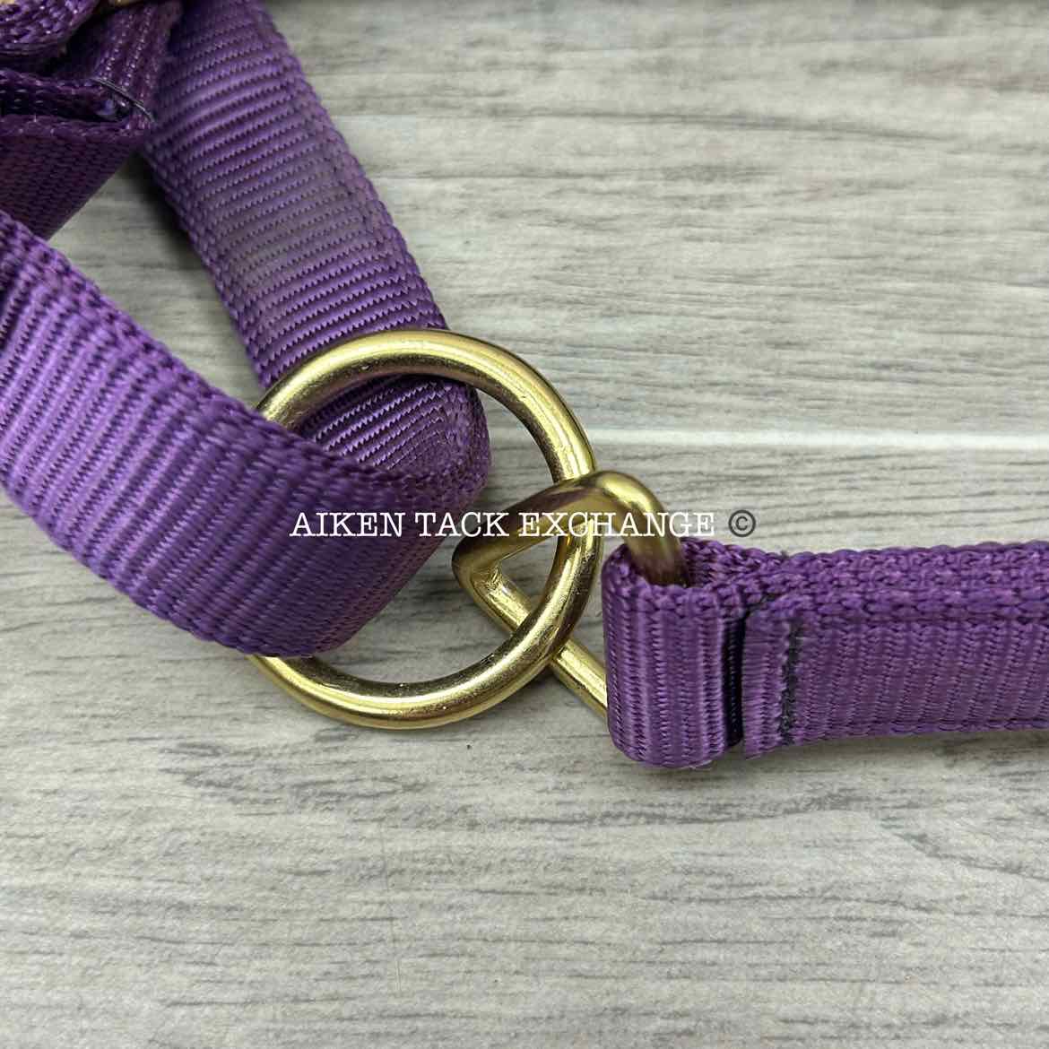 Dover Saddlery Heavy Nylon Halter, Oversize