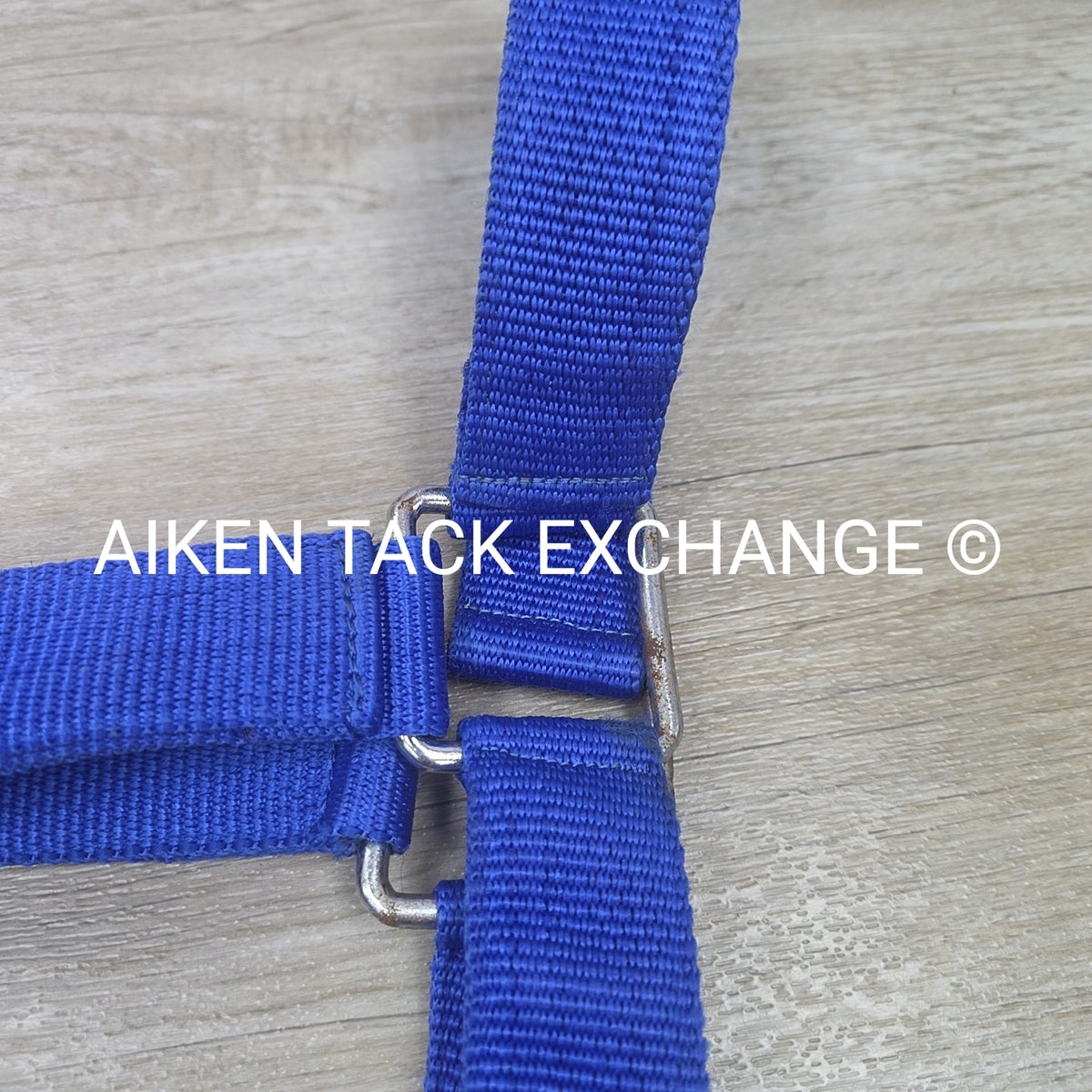 Nylon Halter, Draft