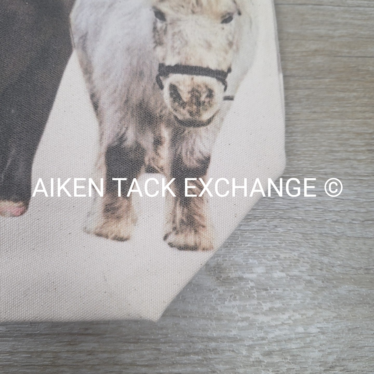 Canvas Tote Bag