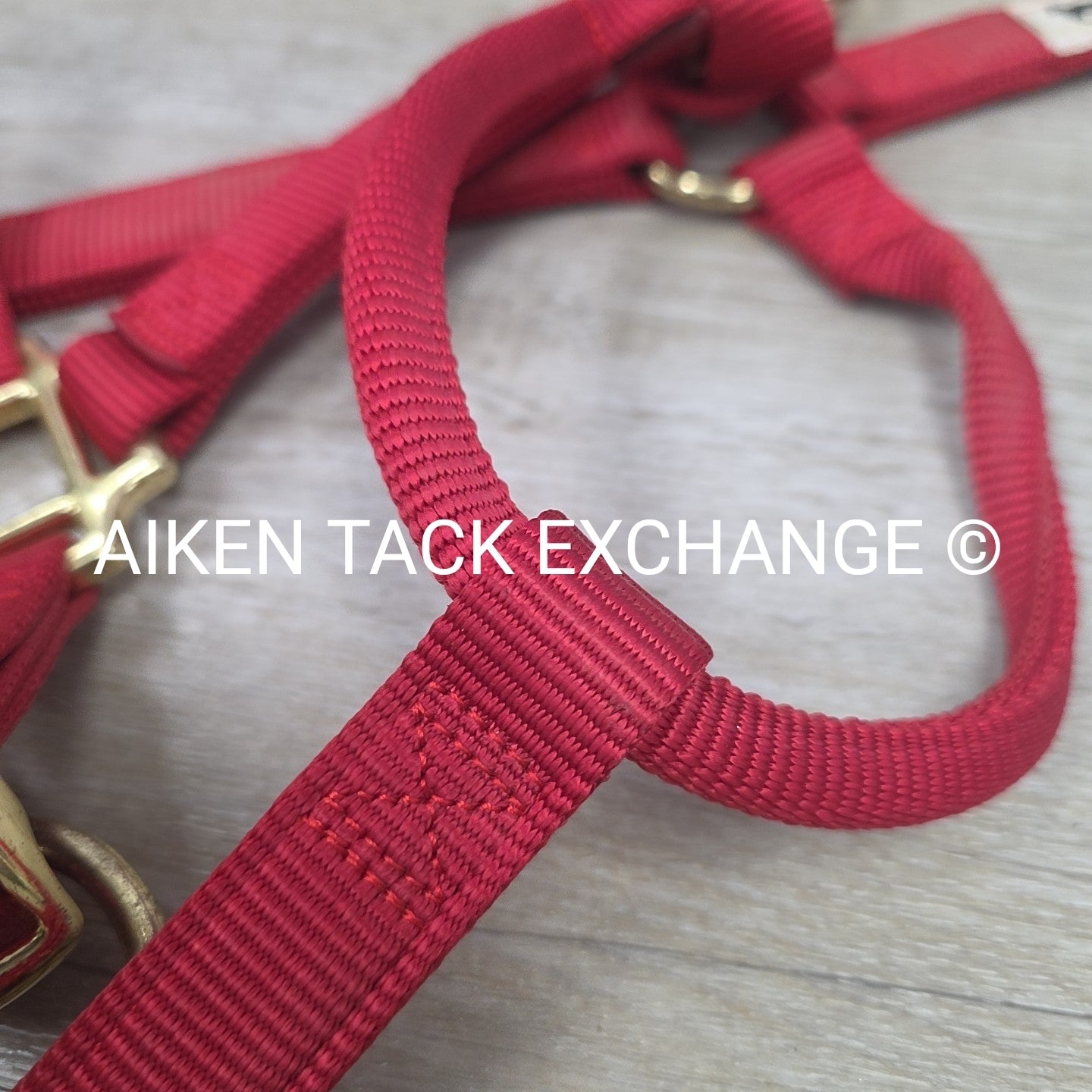 Weaver Nylon Halter, Average Horse