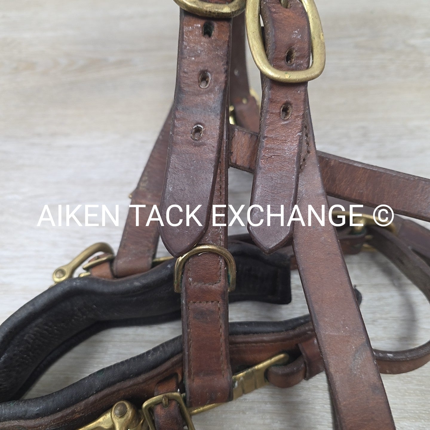 Leather Lunging Cavesson