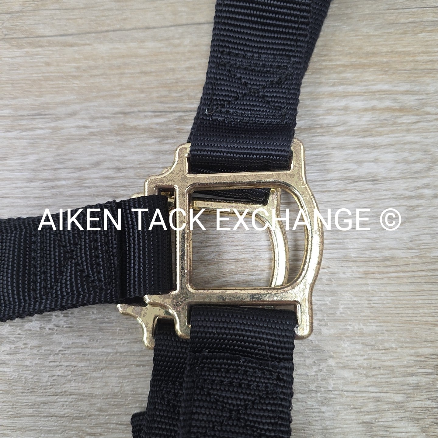 Weaver Leather Halter, Draft