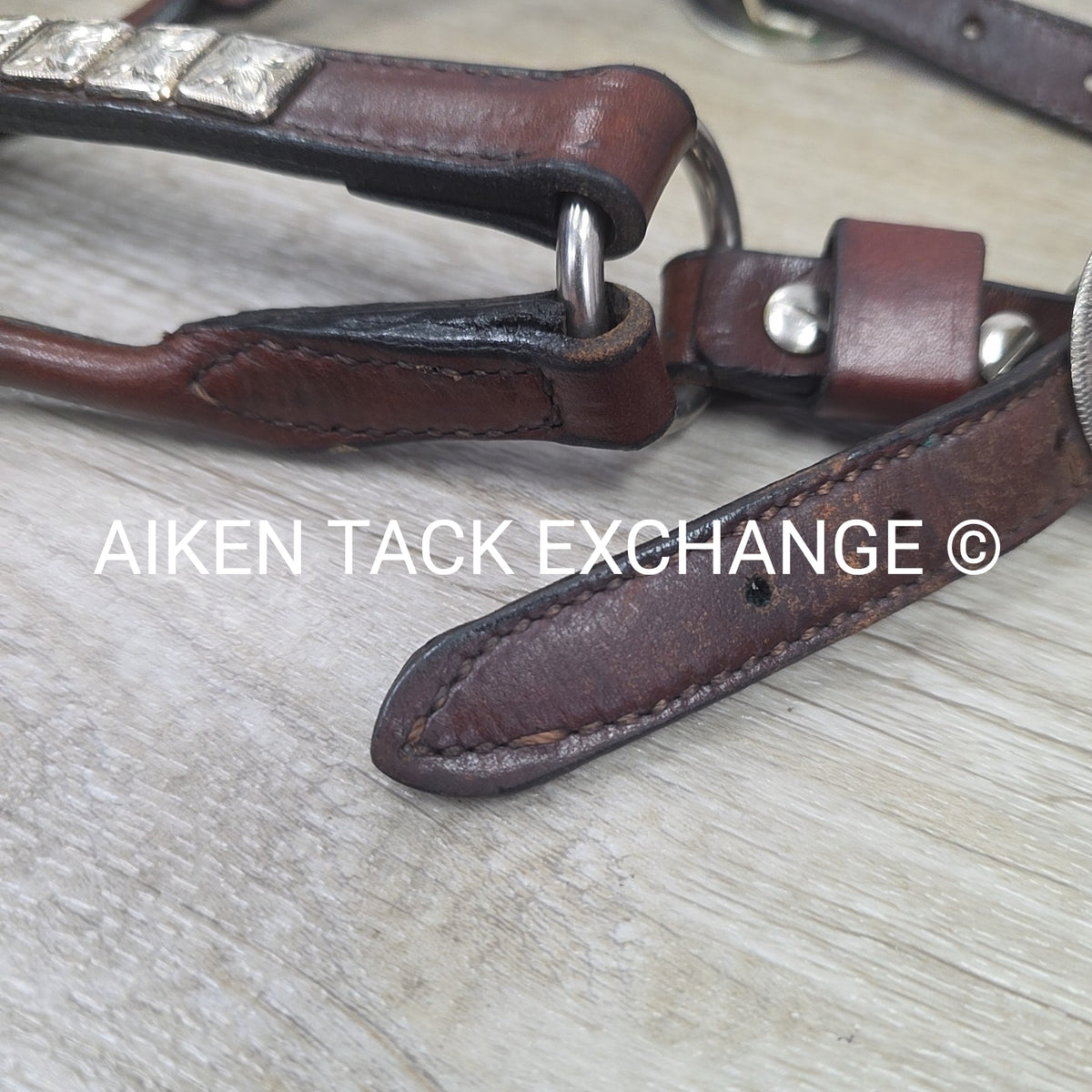 Western Show Halter, Size Foal