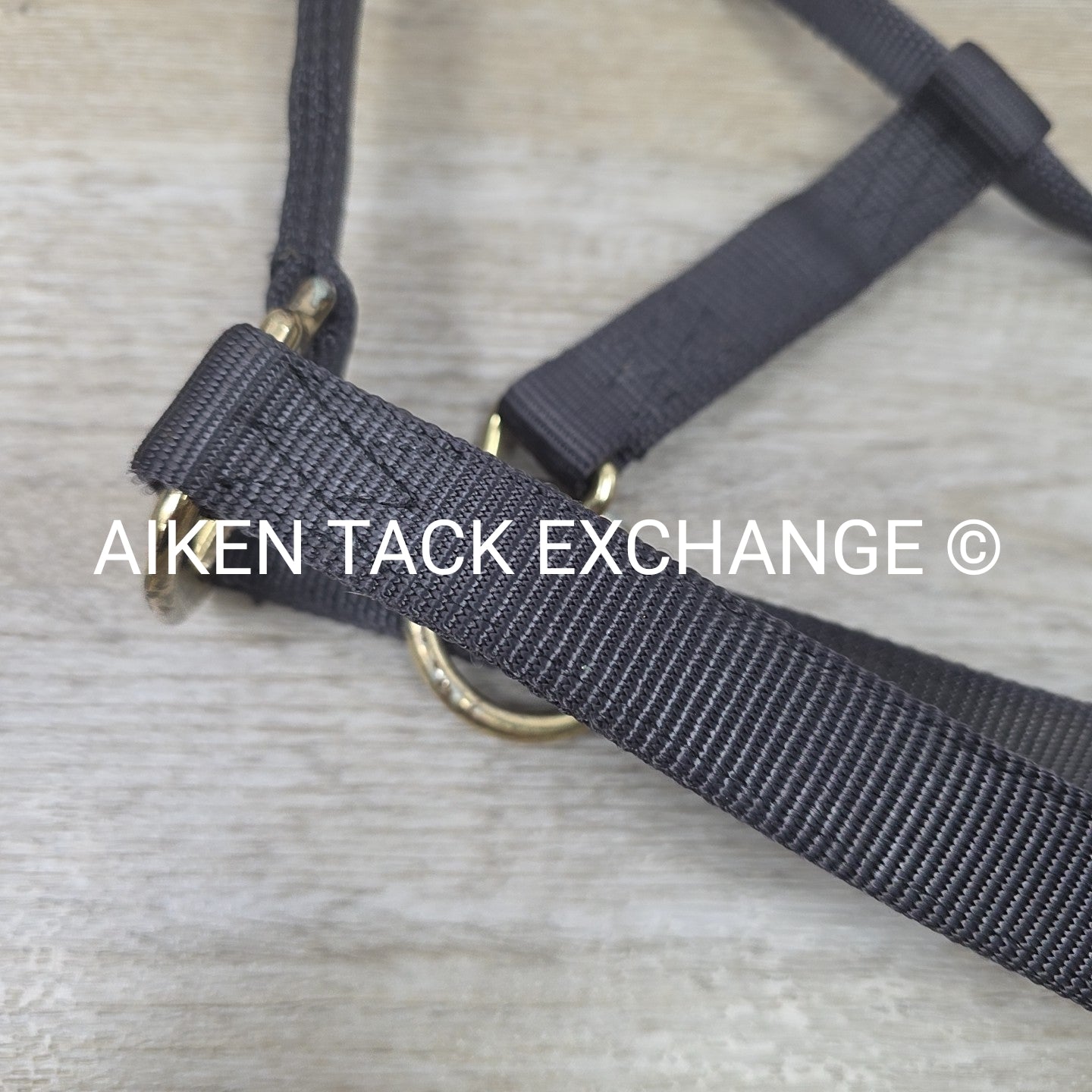 Nylon Halter, Size Medium