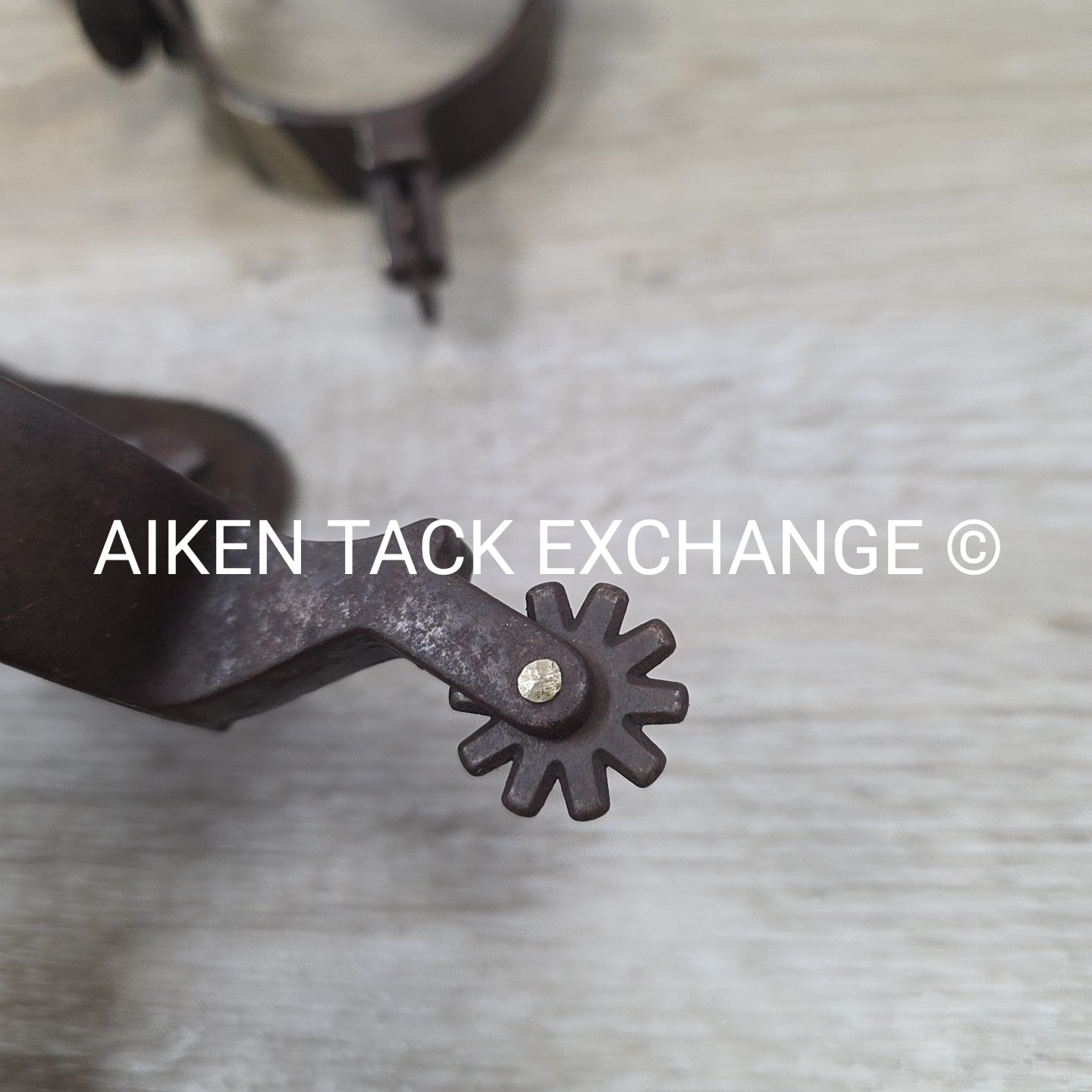 Classic Equine Cowboy Series Spurs with Chap Guard & Leather Spur Straps