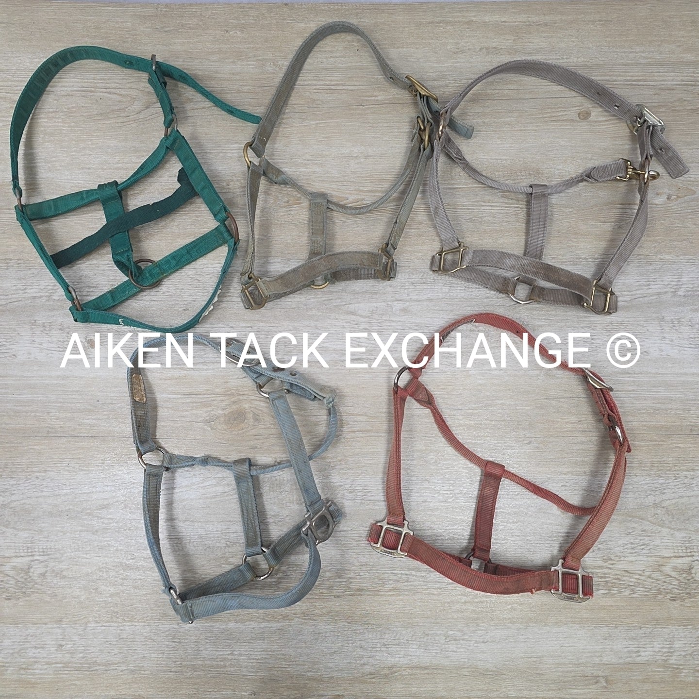 BARGAIN BUNDLE 5 Weaver Leather Nylon Halters, Size Horse