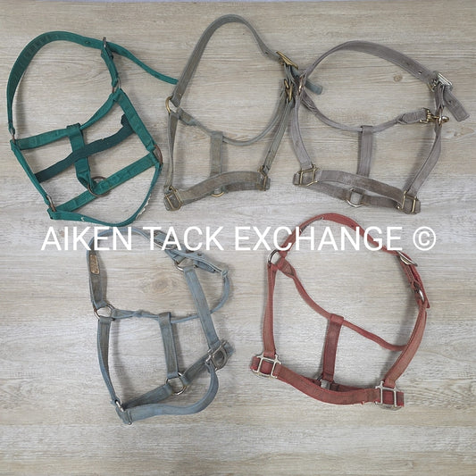BARGAIN BUNDLE 5 Weaver Leather Nylon Halters, Size Horse