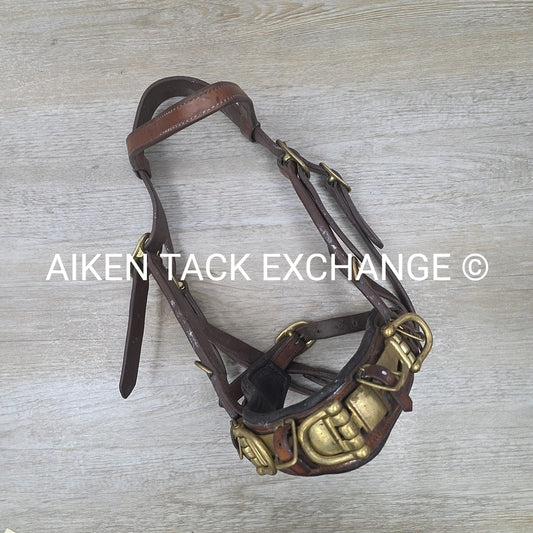 Leather Lunging Cavesson