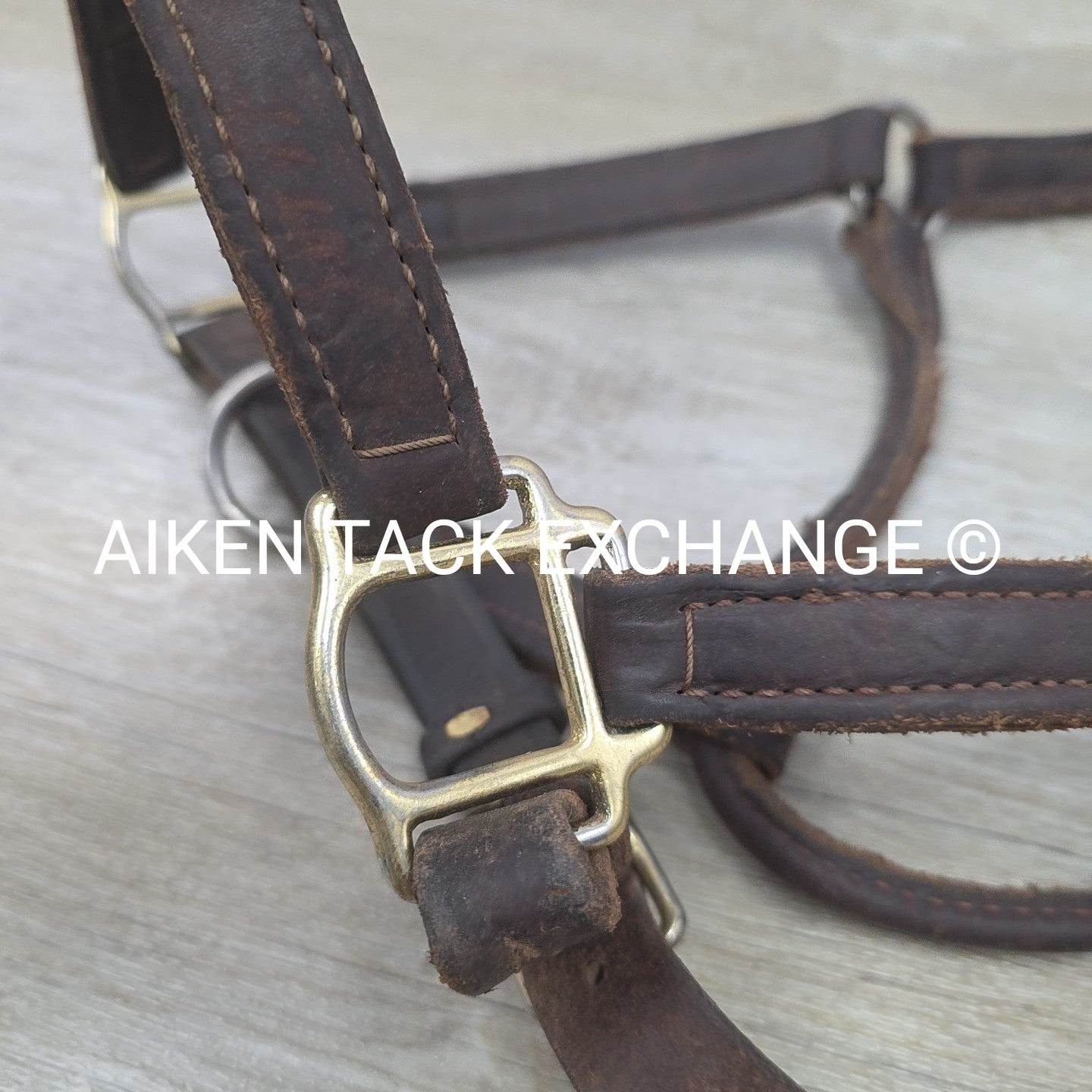 BARGAIN BUNDLE: Leather Halter & Nylon Halter, Size Full