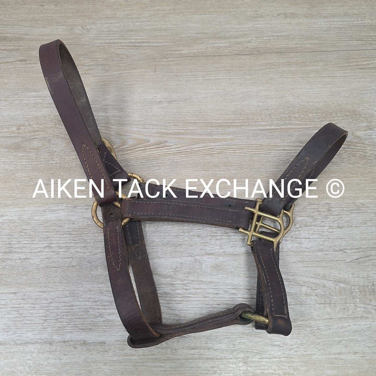 BARGAIN BUNDLE: Weaver Nylon Halter & Leather Halter, Size Full