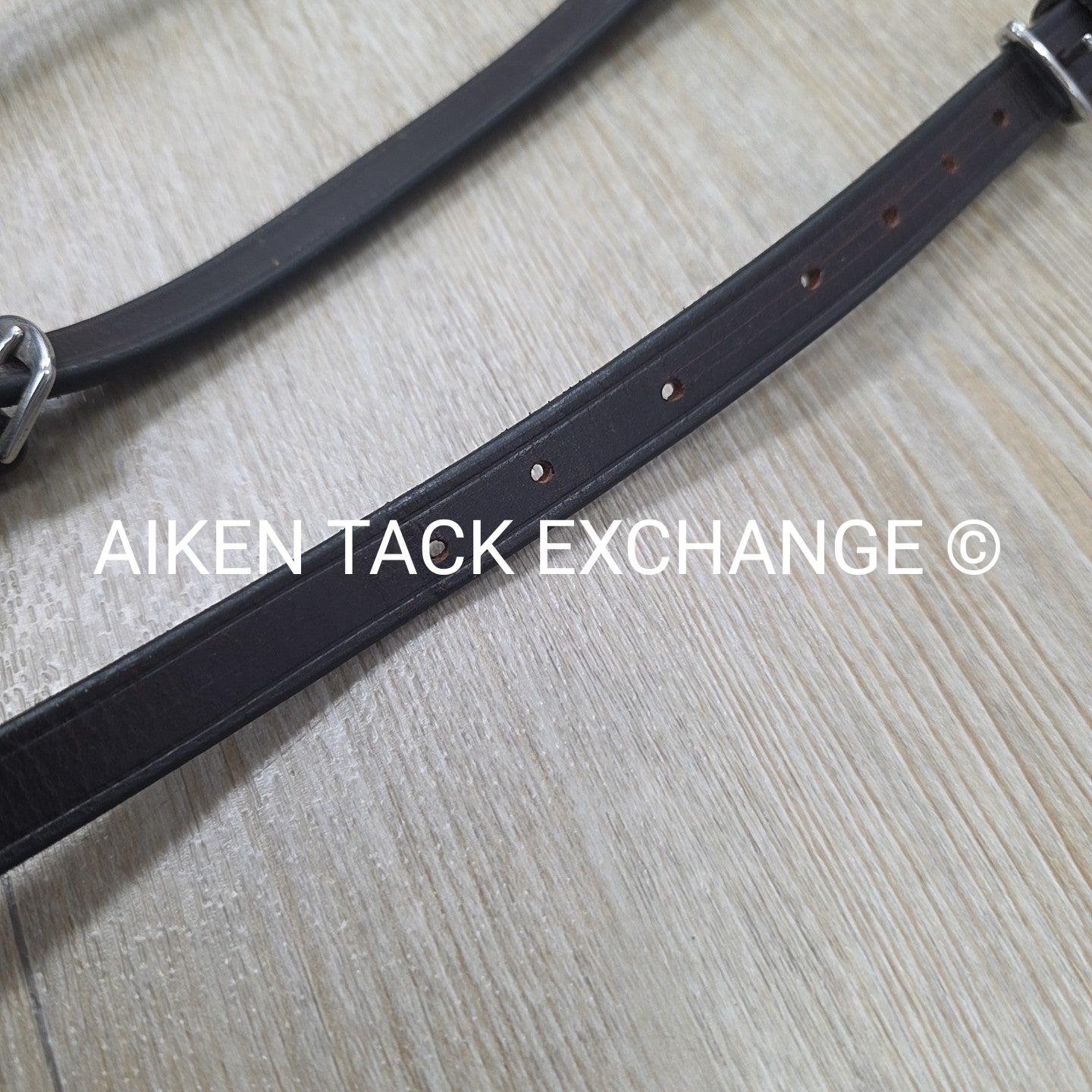 Flat Adjustable Breastplate with Standing Martingale Attachment, Brown, Cob
