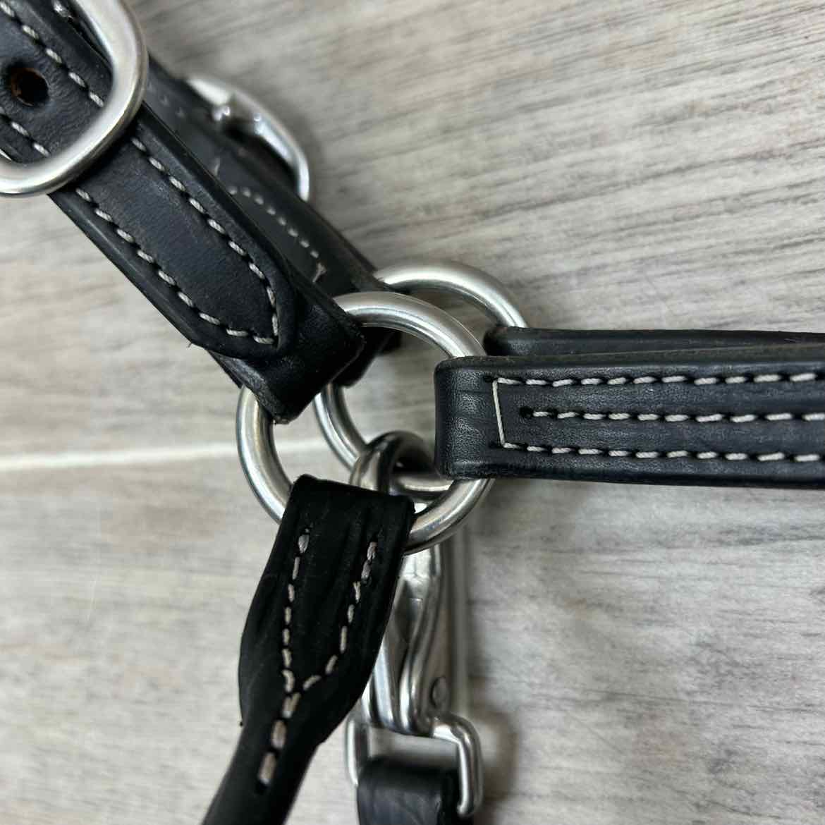 Green Hill Collection Leather Halter with Matching Lead, Size Foal / Mini
