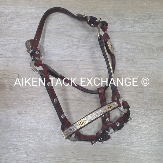 Western Show Halter, Size Foal