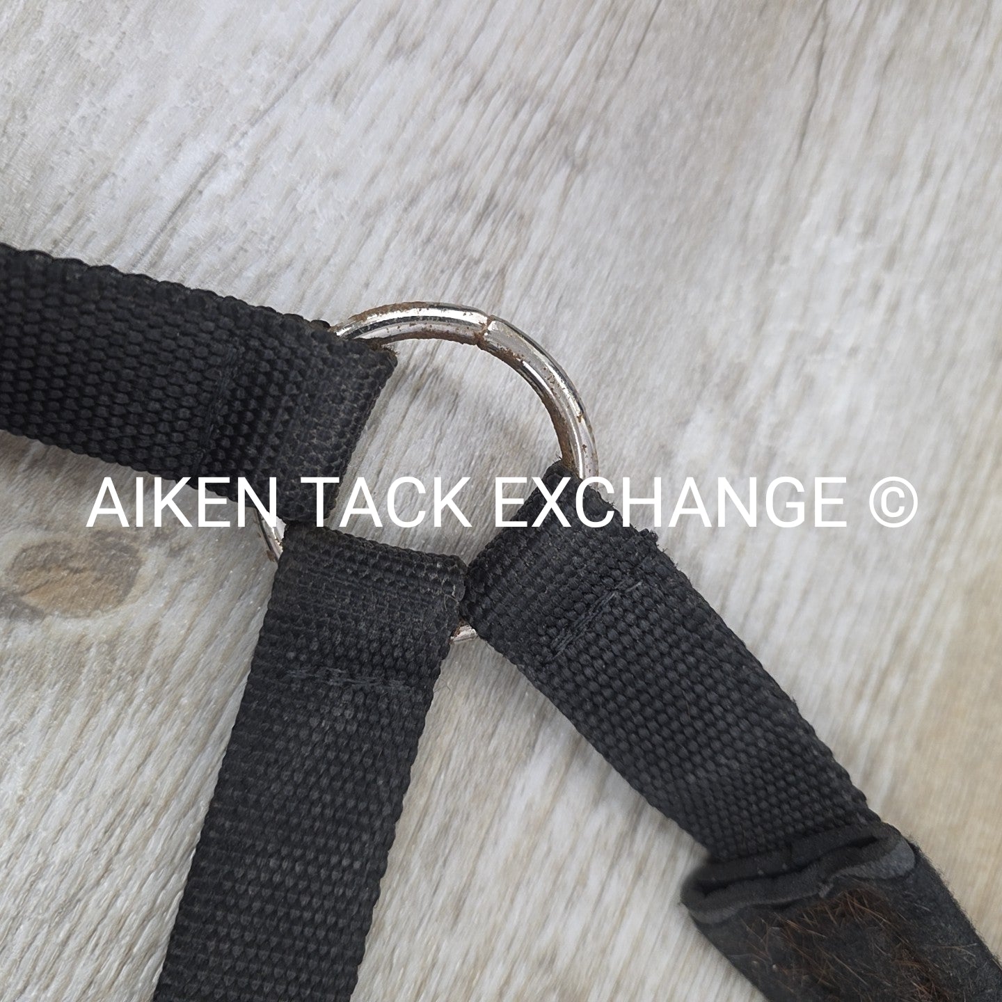 Eskadron Halter, Size Full
