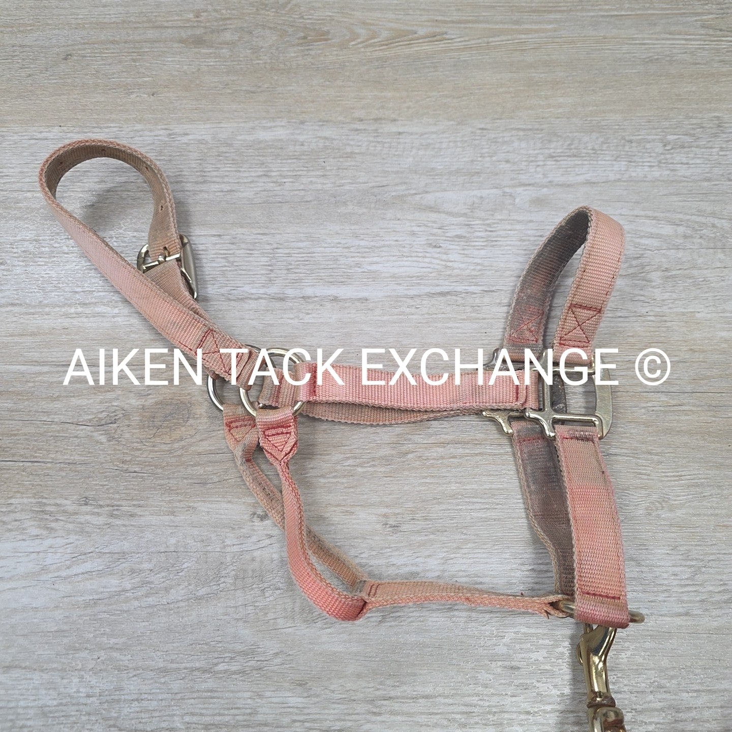 BARGAIN BUNDLE: Nylon Halter, Size Small with Lead Rope