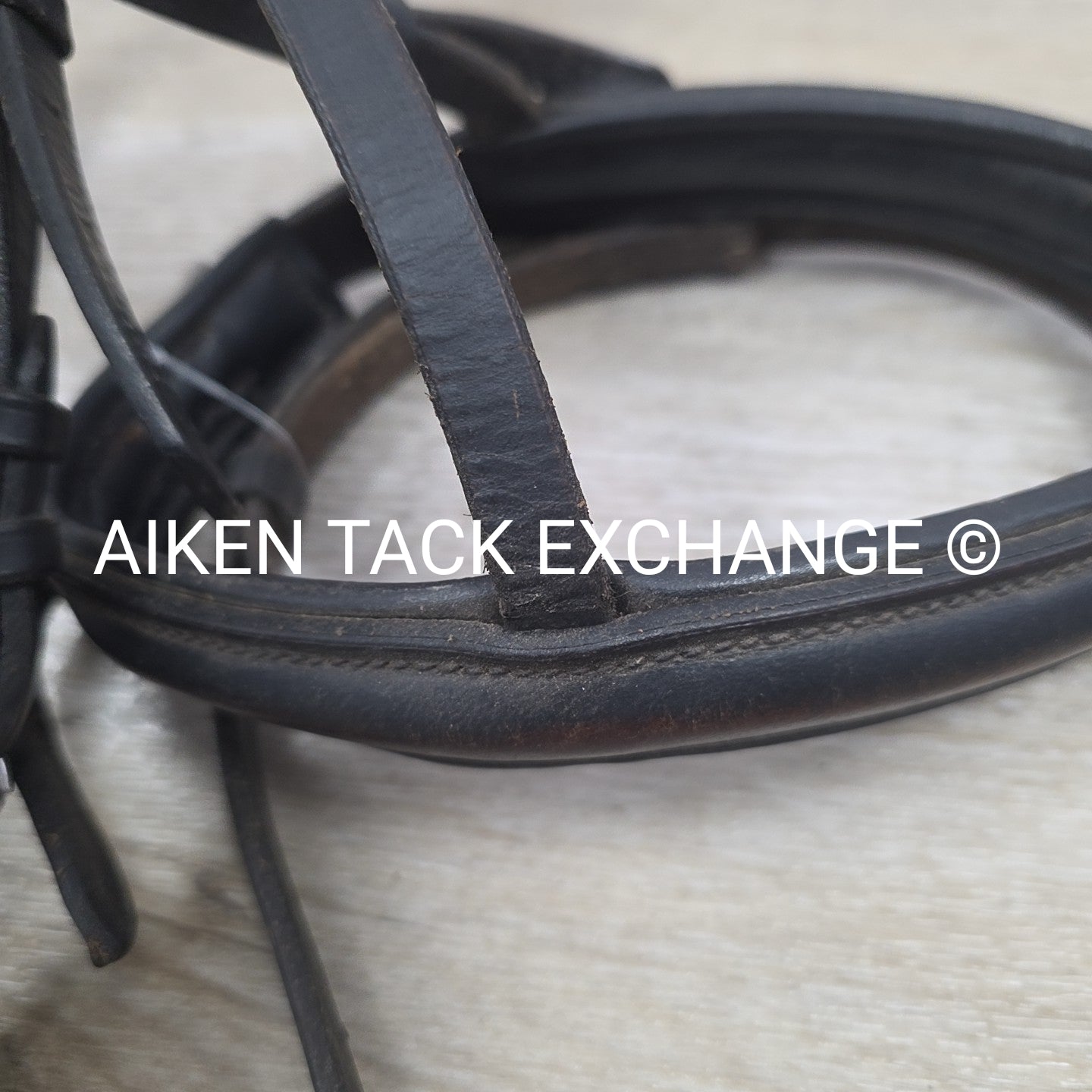 BARGAIN BUNDLE: Flash Bridle with Running Martingale, Black, Size Full