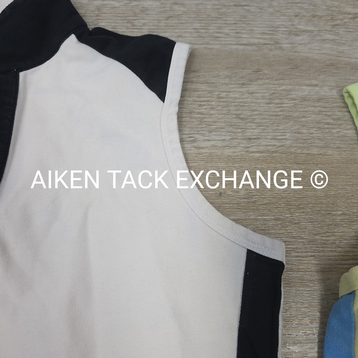 BARGAIN BUNDLE: 2 Connoisseur Equestrian Collection Sleeveless Tops, Size Small