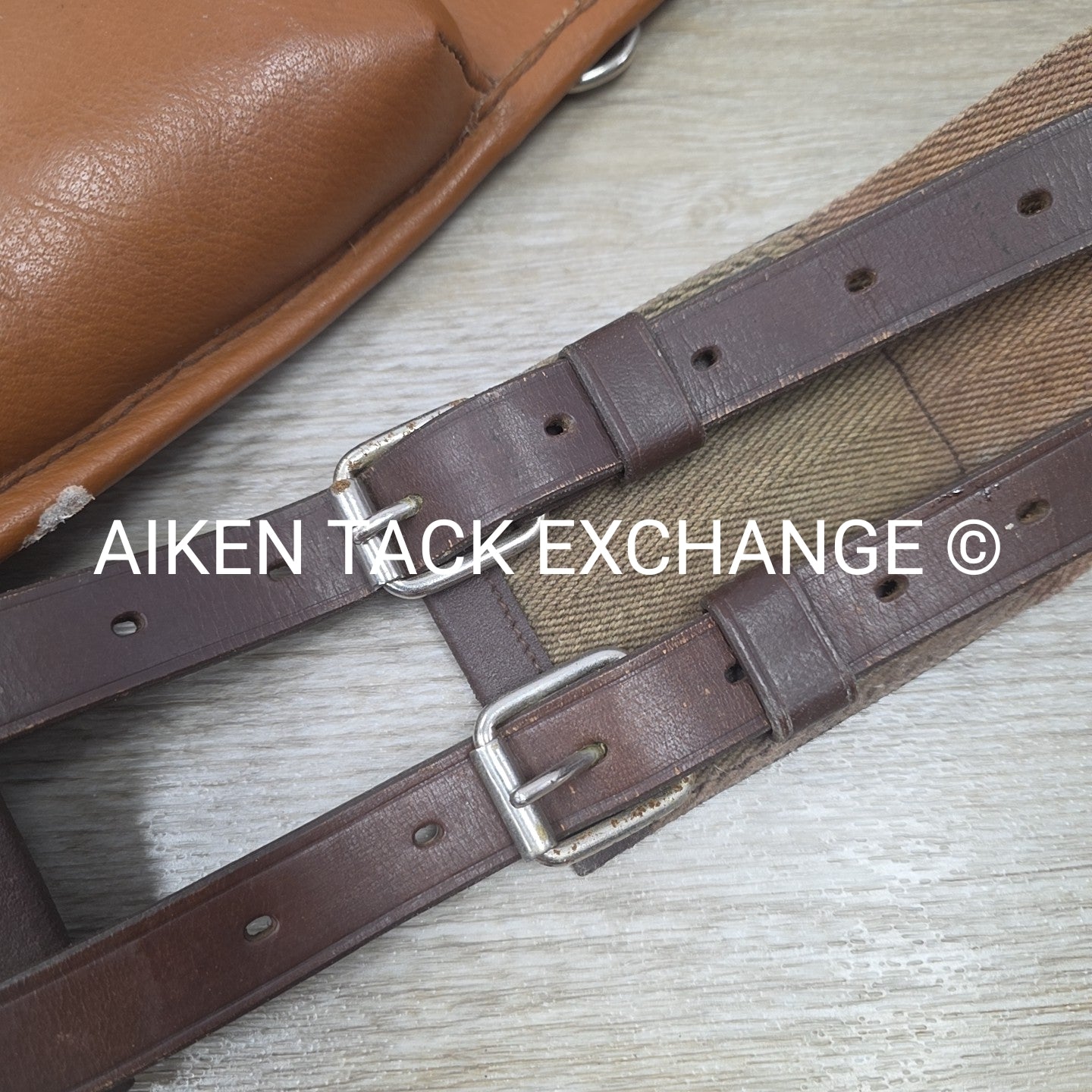 BARGAIN BUNDLE: Leather Lunging Cavesson & Surcingle