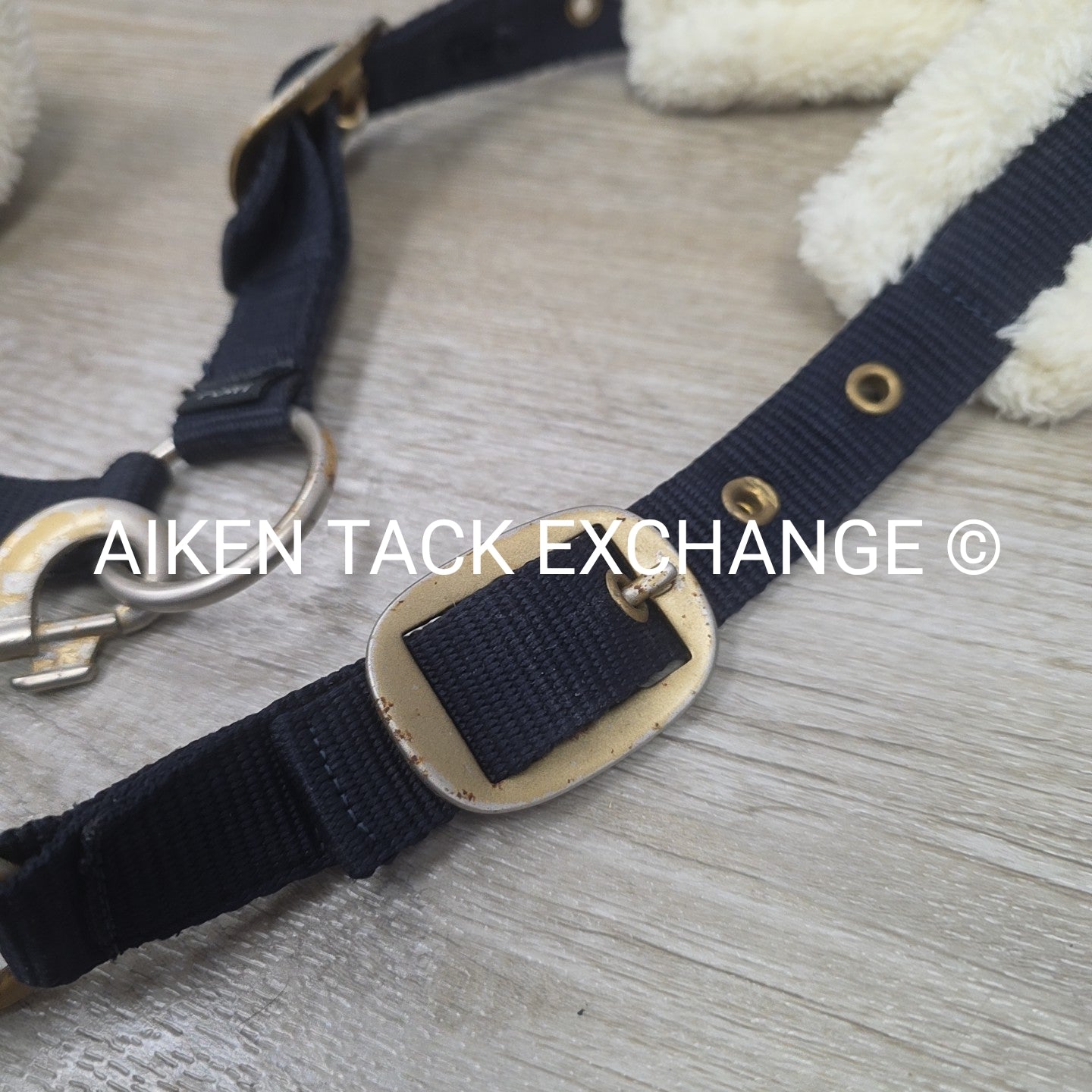 Horze Howard Halter & Lead Rope, Size Pony