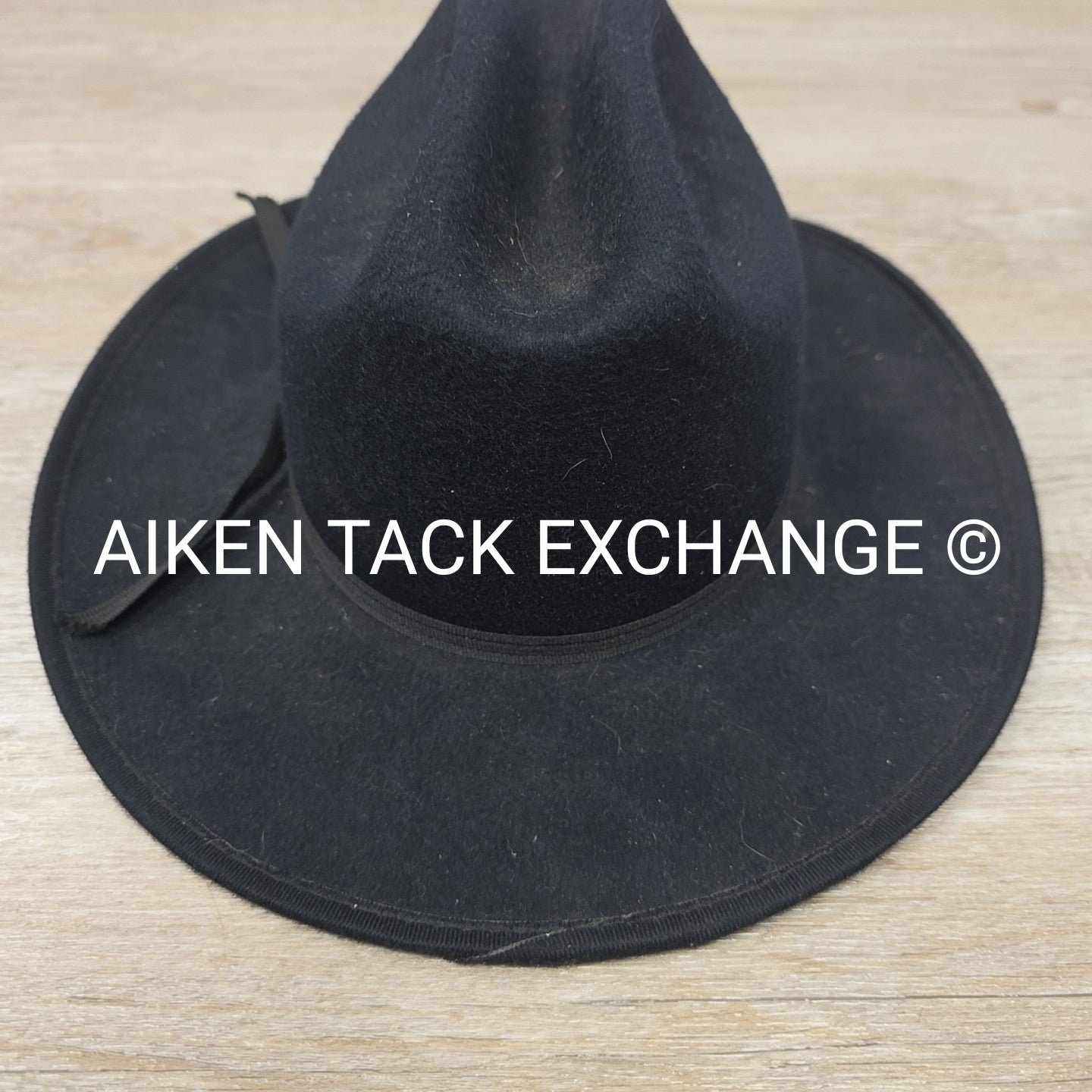 Western Express Children's Felt Hat