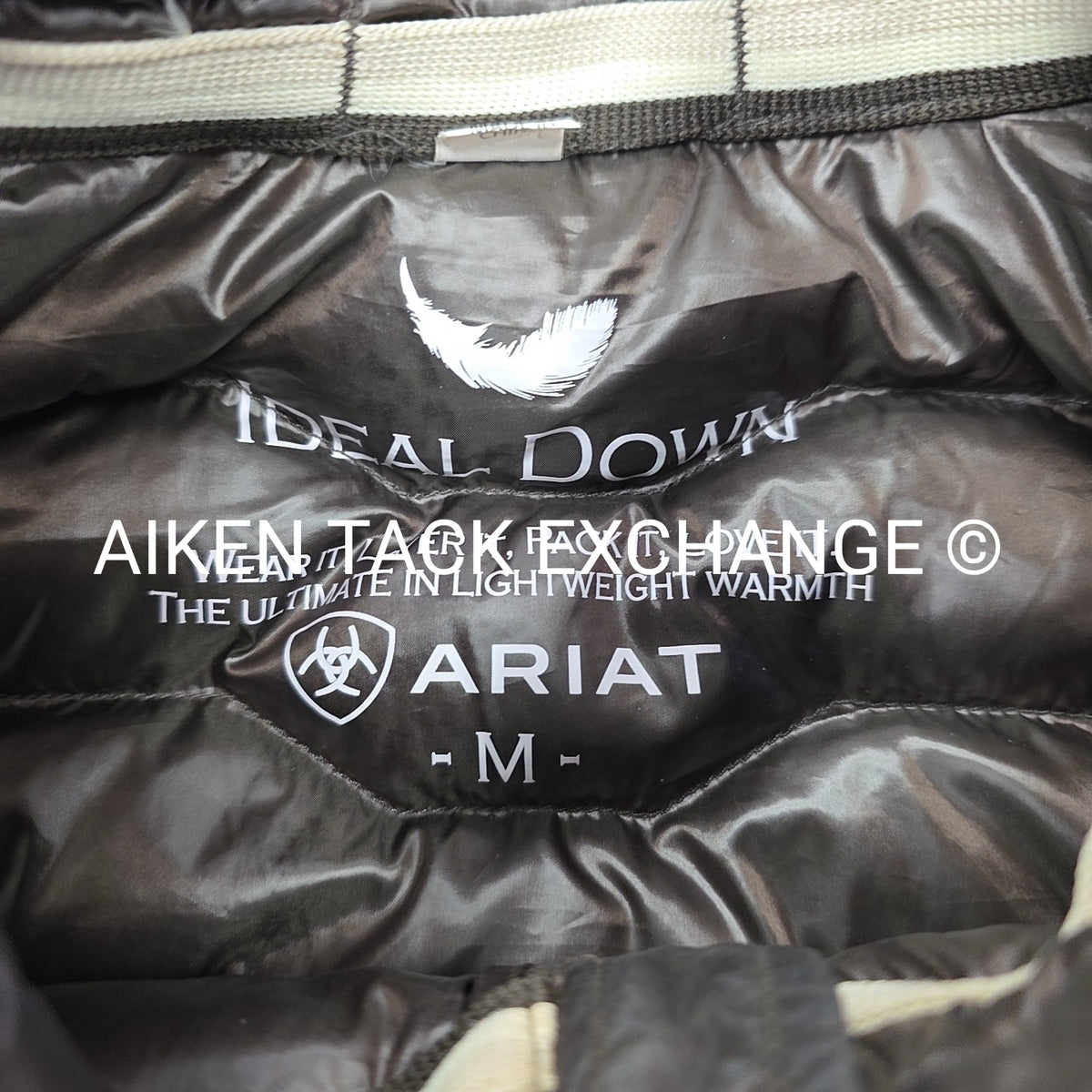 Ariat Ideal Down Vest, Women's Medium