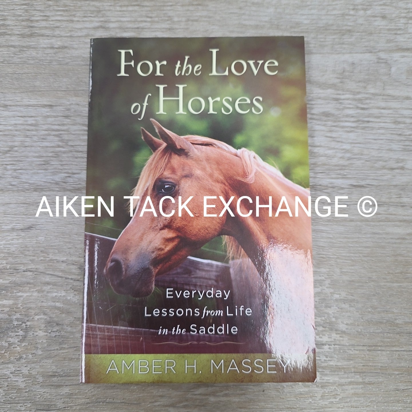 For the Love of Horses by Amber H. Massey