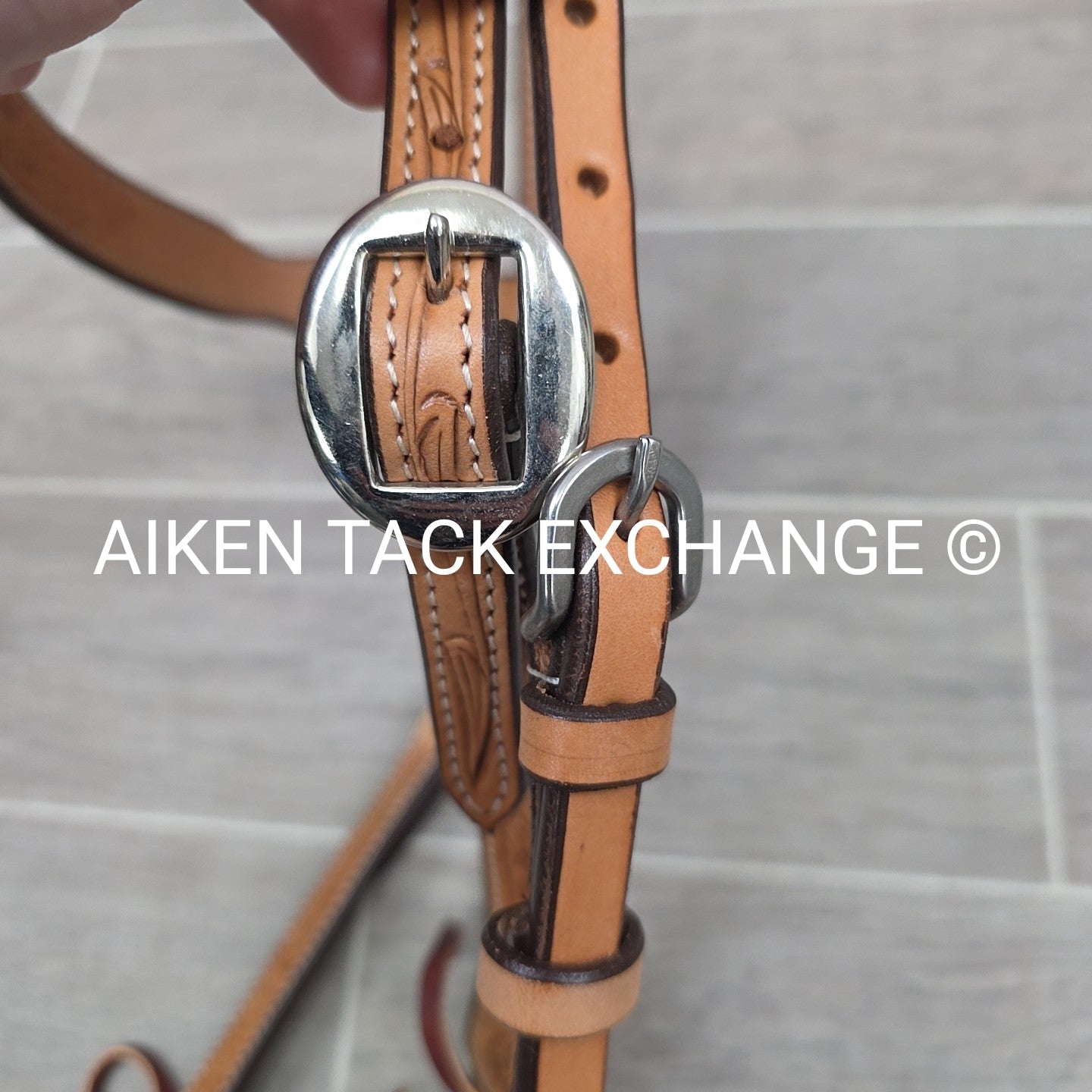 Showman Browband Headstall, No Reins