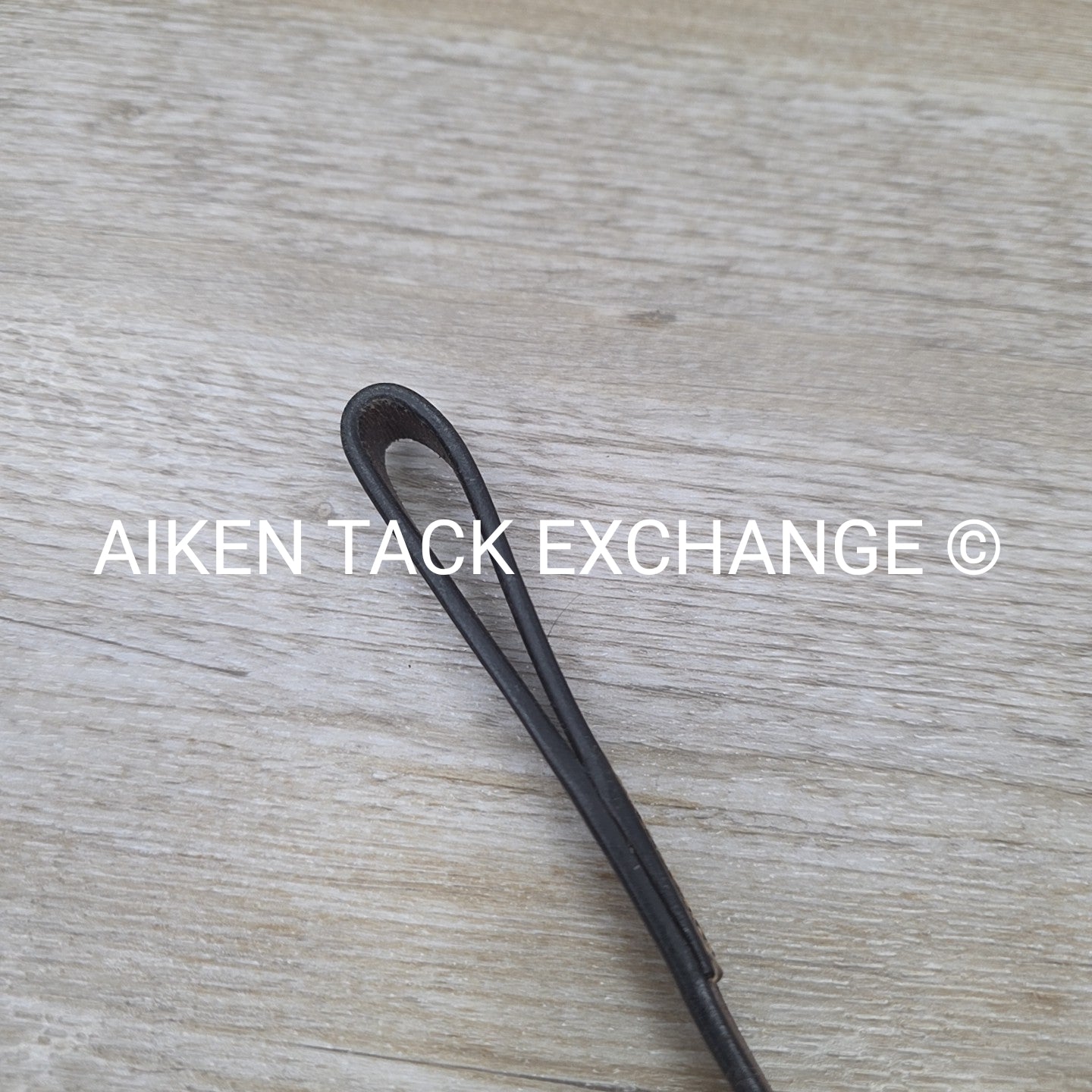 Hadfield Bridleworks Flat Standing Martingale, Size Extra Oversize