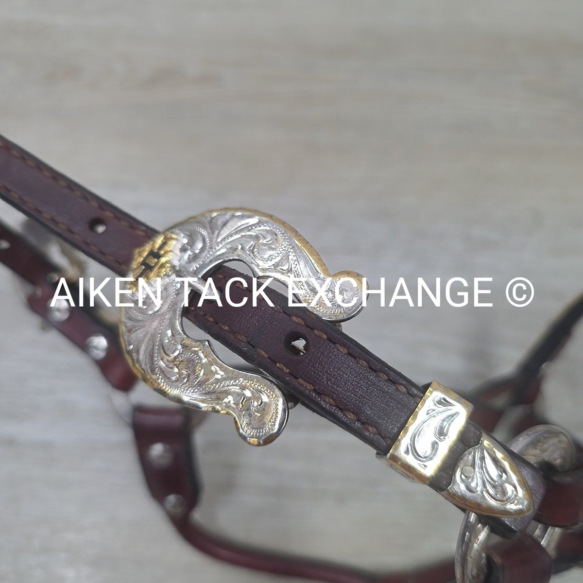 Western Show Halter, Size Foal