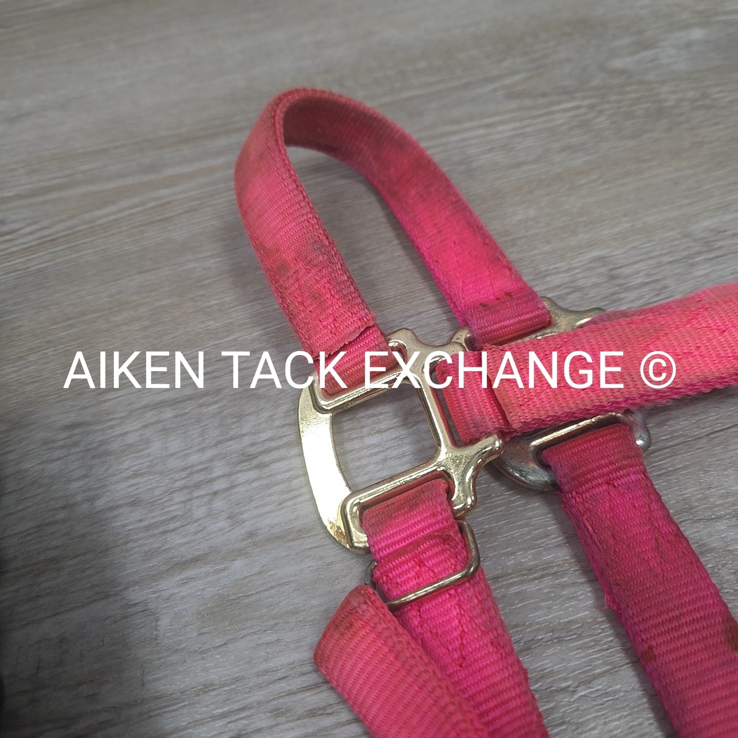 BARGAIN BUNDLE: 2 Nylon Halters & 2 Lead Ropes
