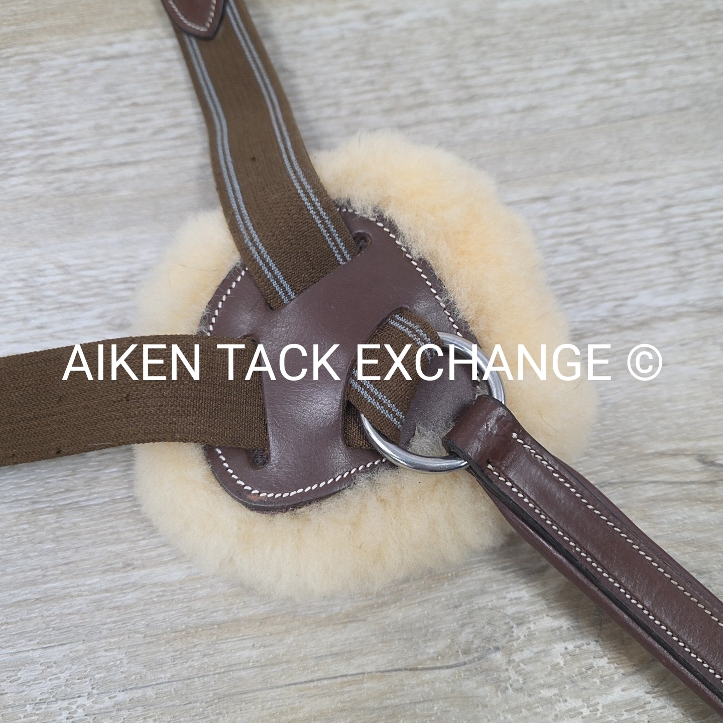 HDR Pro 5 Point Elastic Breastplate, No Running Attachment, Brown, Size Full