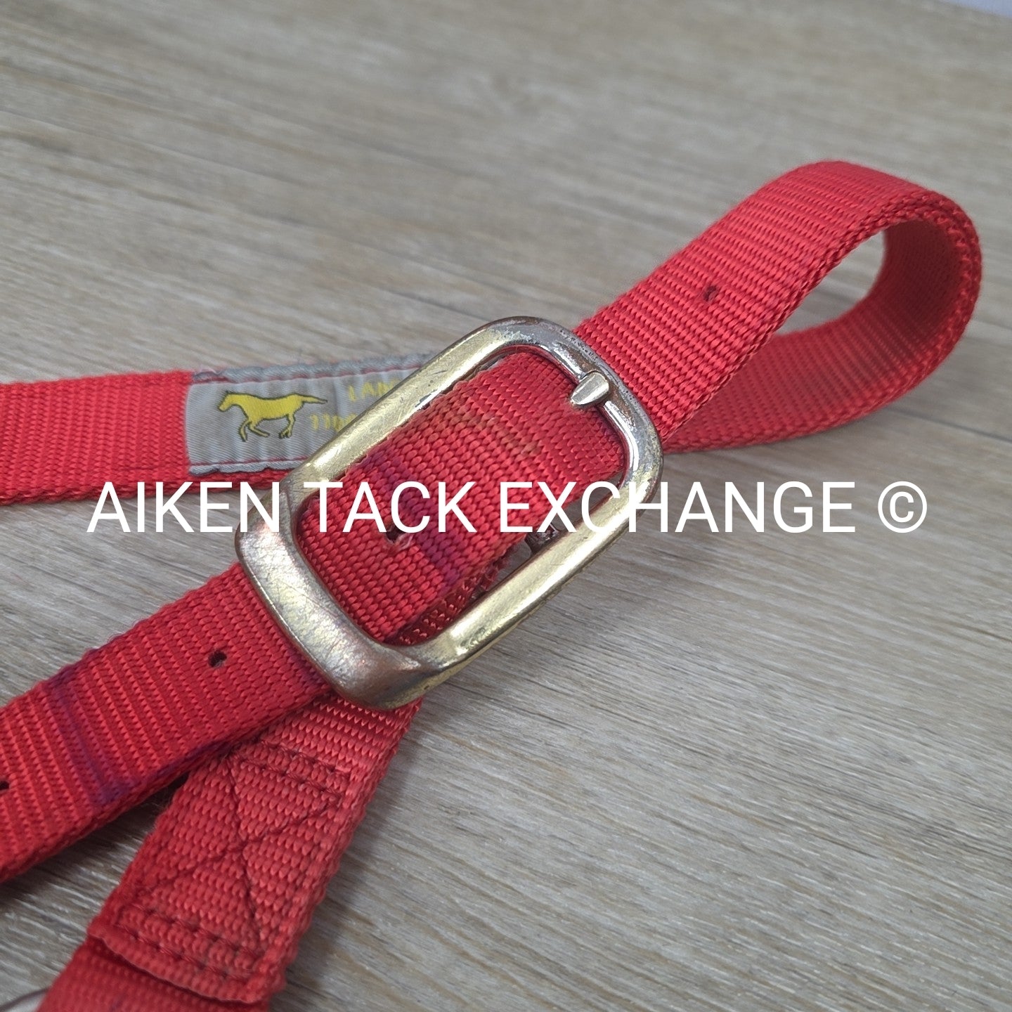 BARGAIN BUNDLE: Nylon Halter, Large, Nylon Halter Missing Crown, Full & Lead Rop