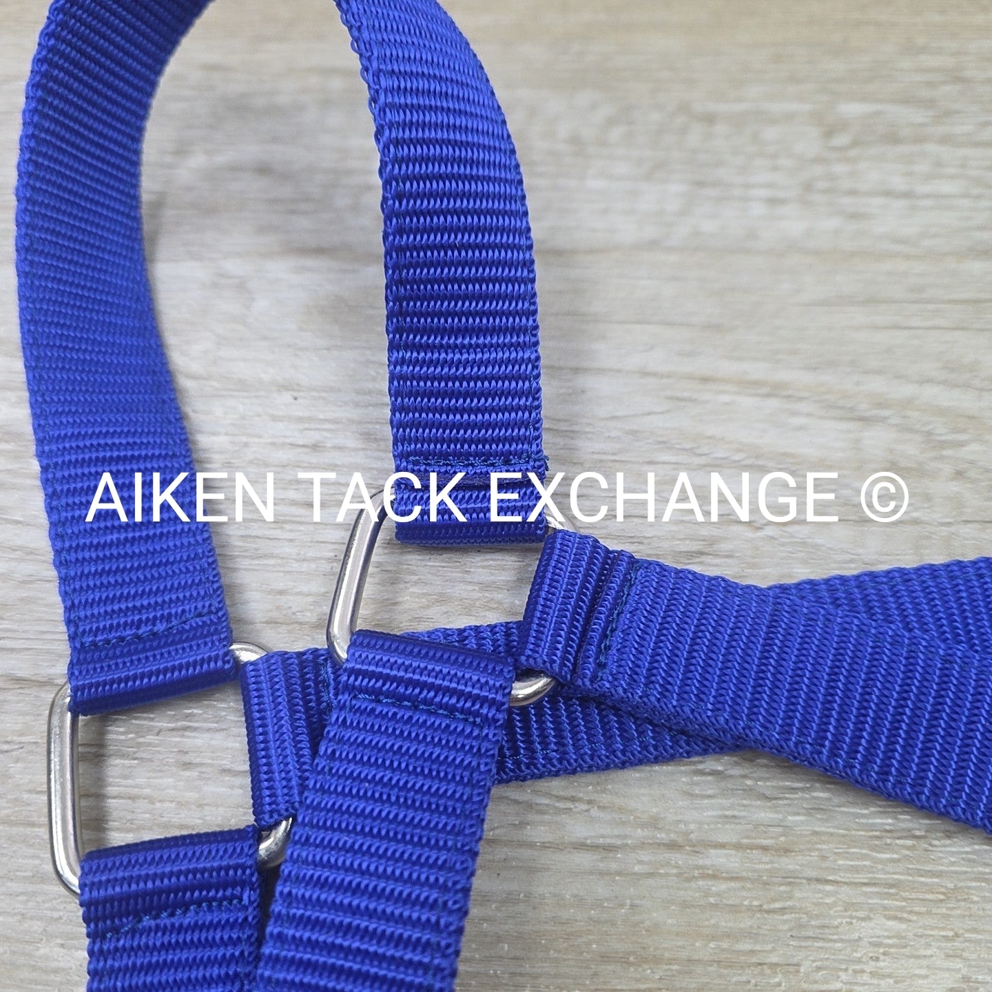 TuffRider Breakaway Nylon Halter & Lead Rope Set, Blue, Size Full