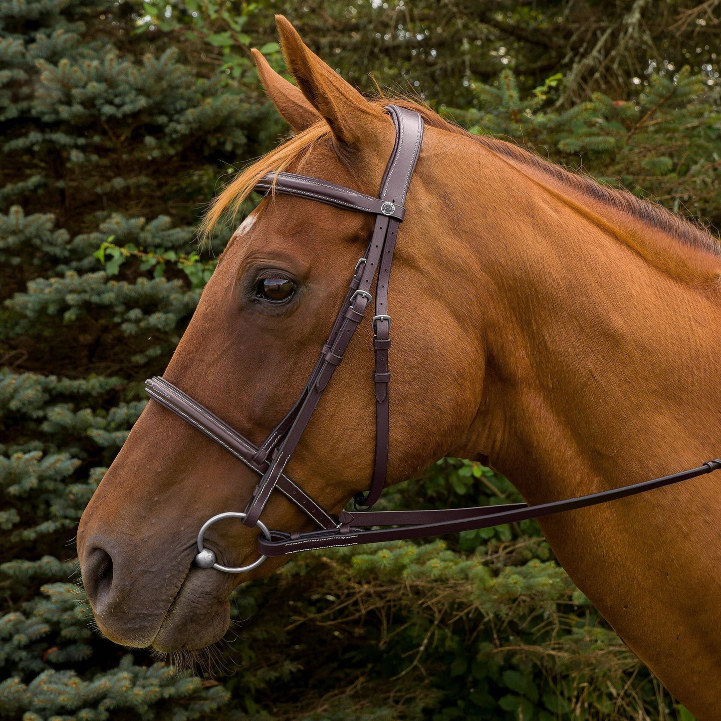 Henri de Rivel Pro Mono Crown Fancy Stitched Padded Bridle: Havana / Horse