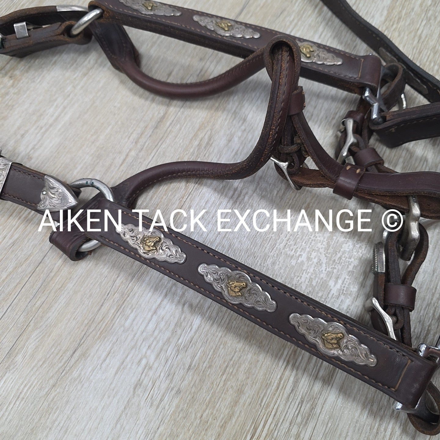 Victor Quality Westen Show Halter with Lead