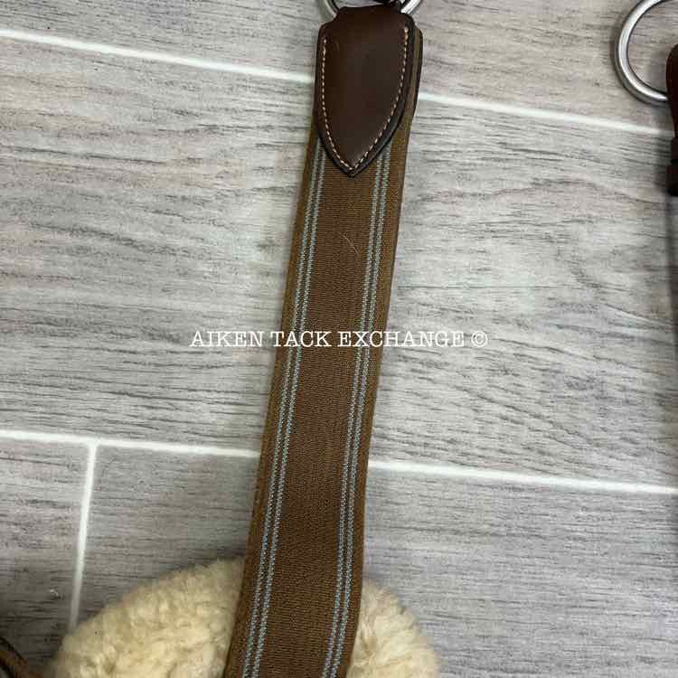 HDR Pro 5 Point Elastic Breastplate, Brown, Size Full