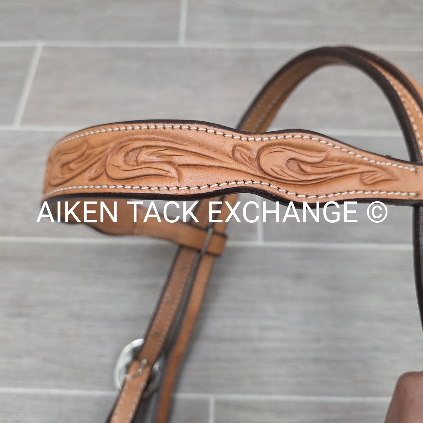 Showman Browband Headstall, No Reins
