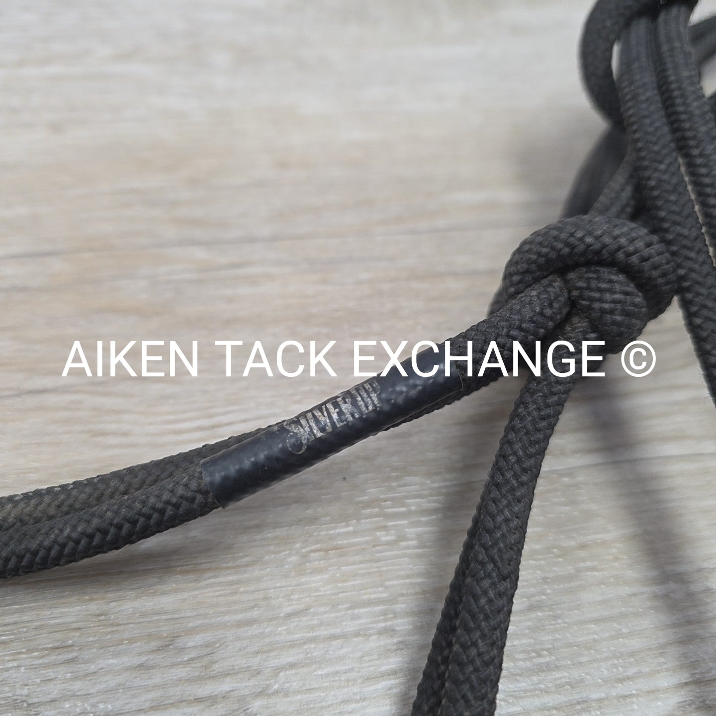 Weaver Leather Silvertip Tope Halter with Lead