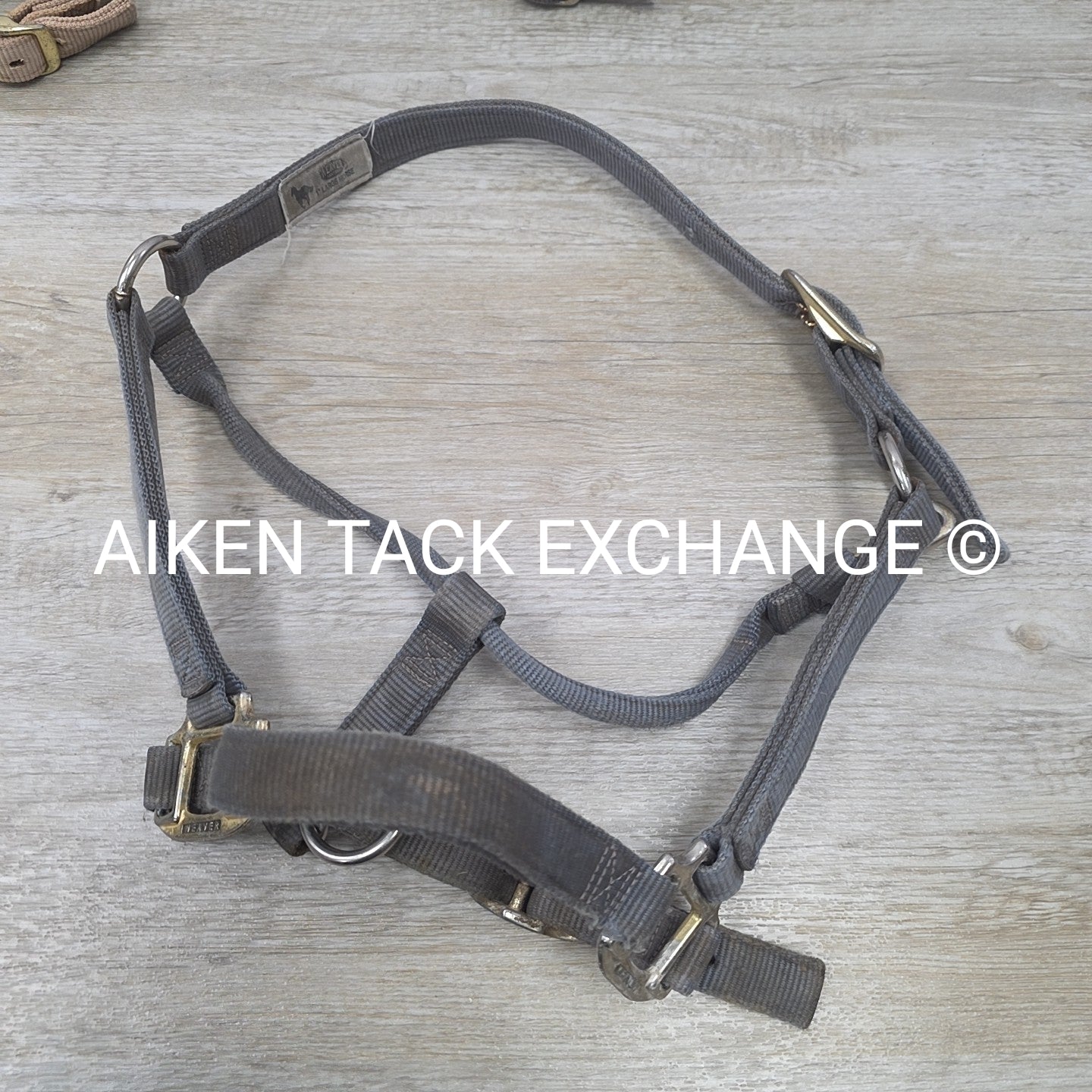 BARGAIN BUNDLE 4 Weaver Leather Nylon Halters, Size Large Horse