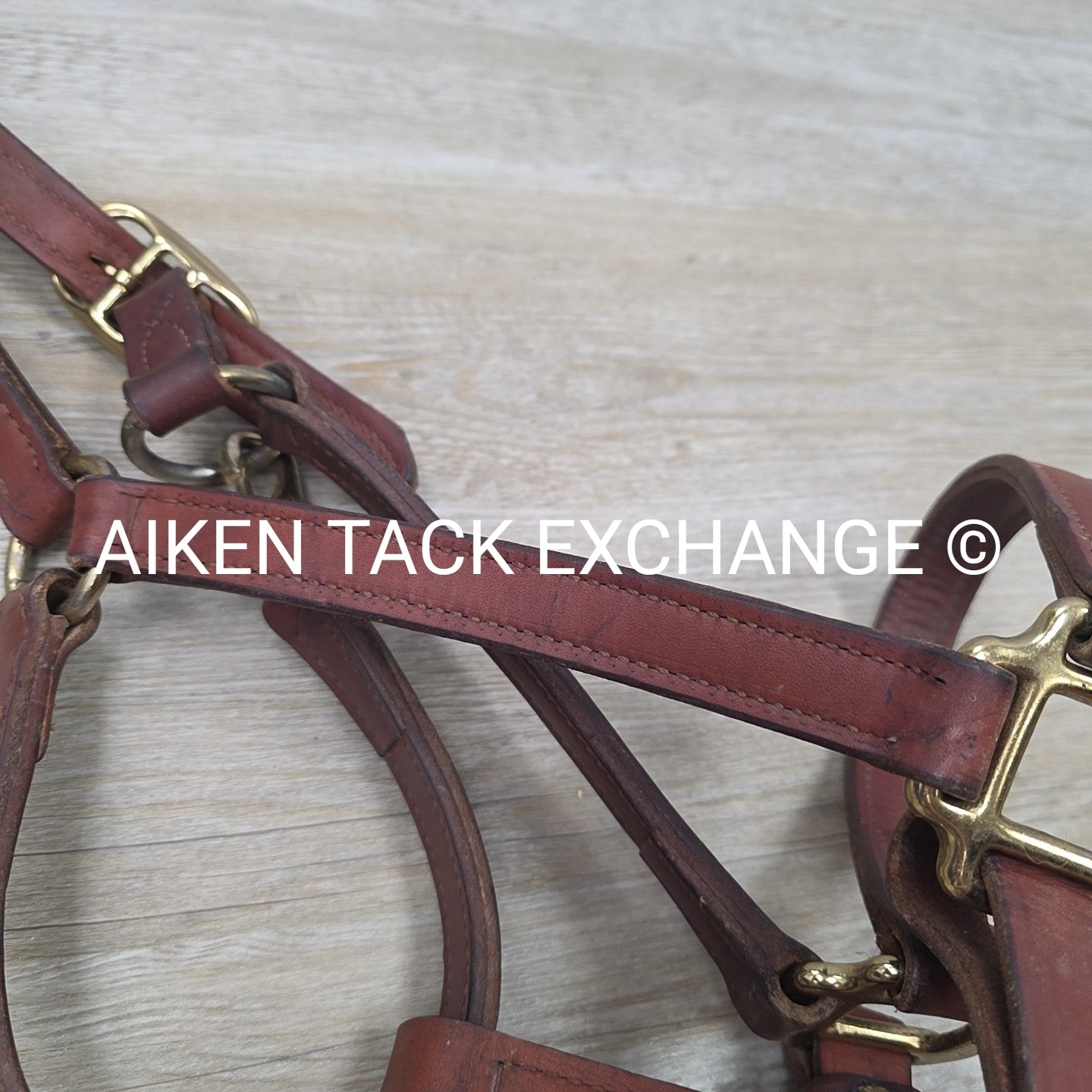 BARGAIN BUNDLE: Perri's Leather Halter with Leather Lead Chain