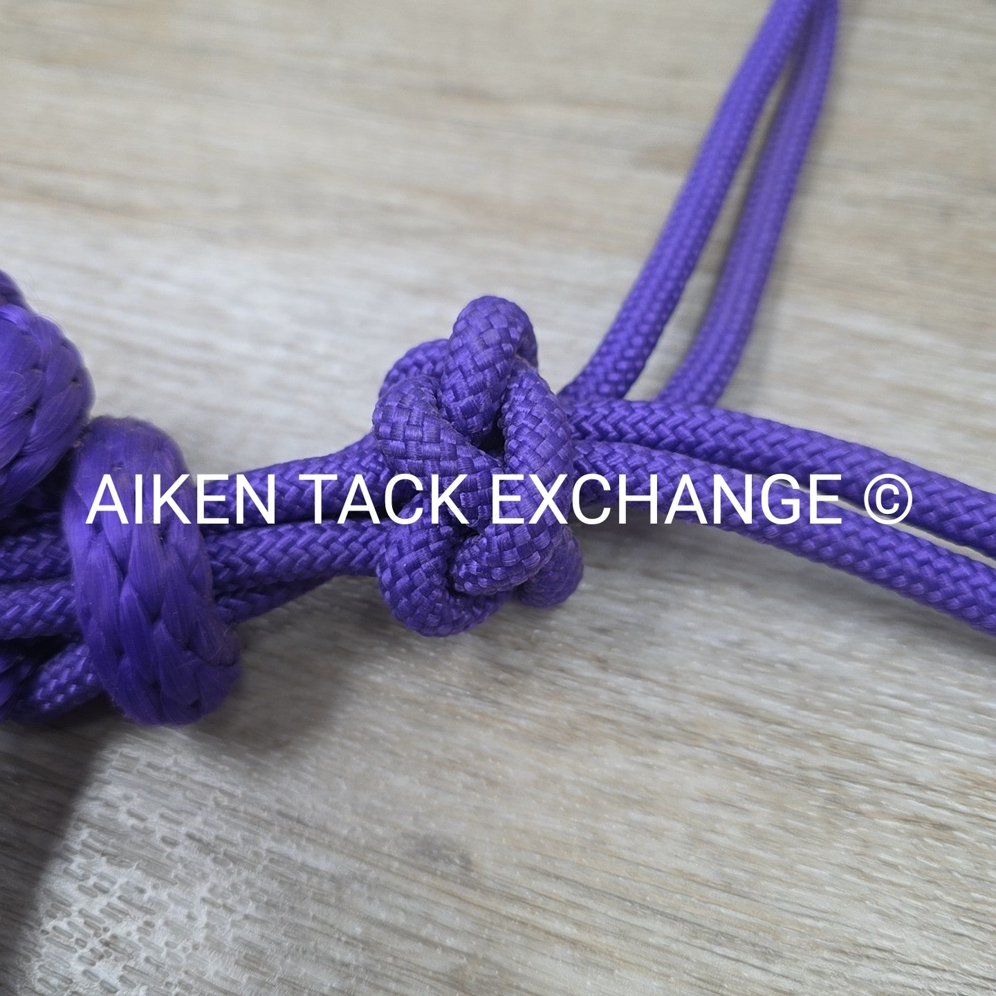 Rope Halter with Lead