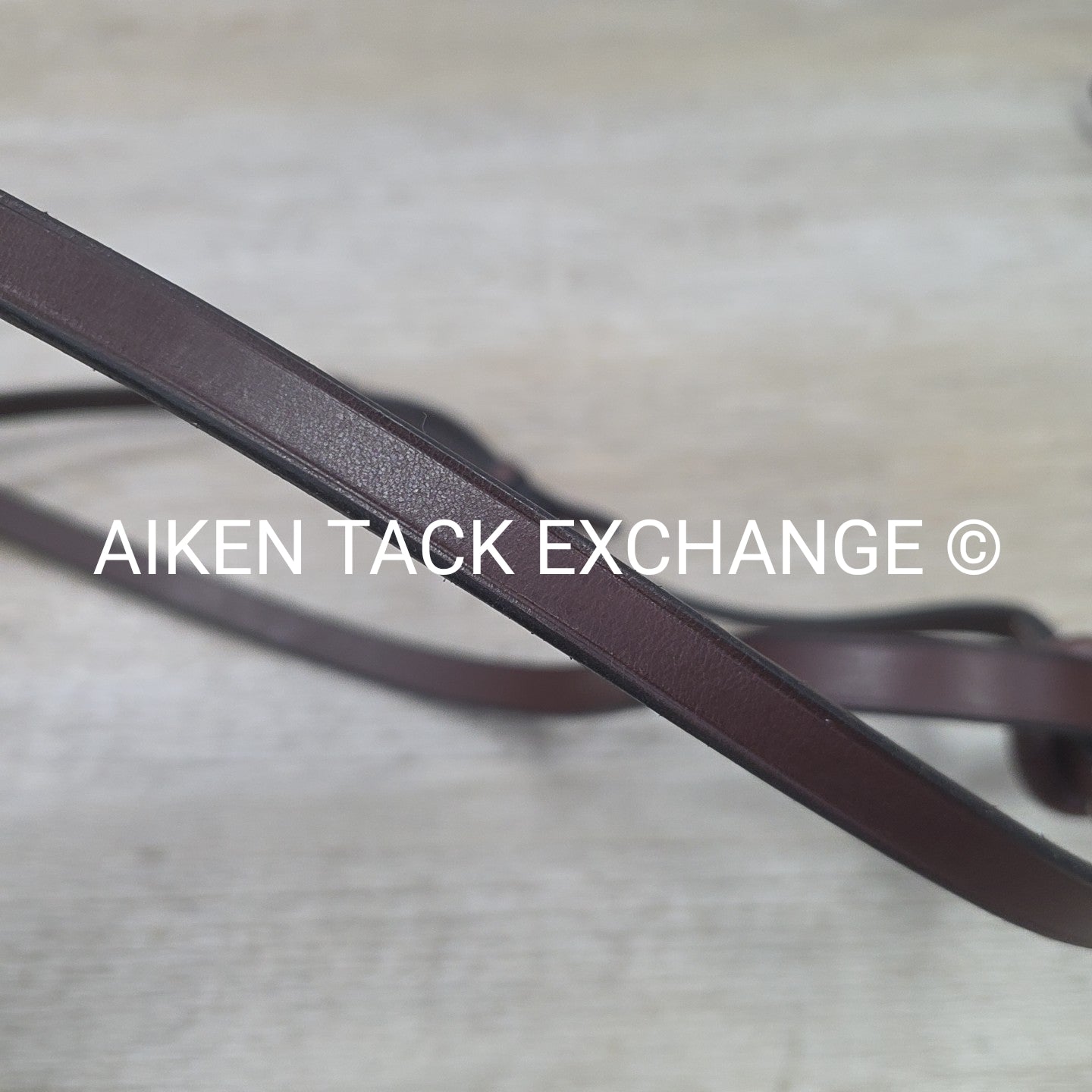 Plain Flat Standing Martingale, Brown, Size Full