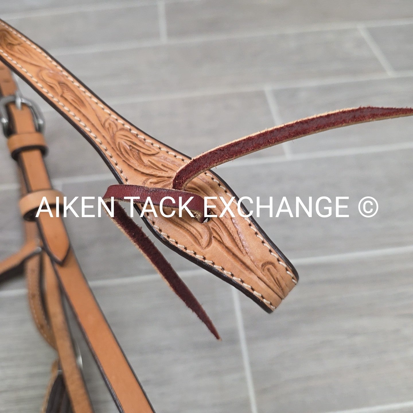 Showman Browband Headstall, No Reins